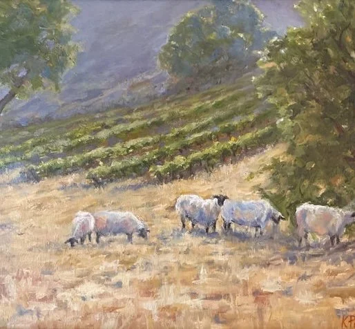 Sheep