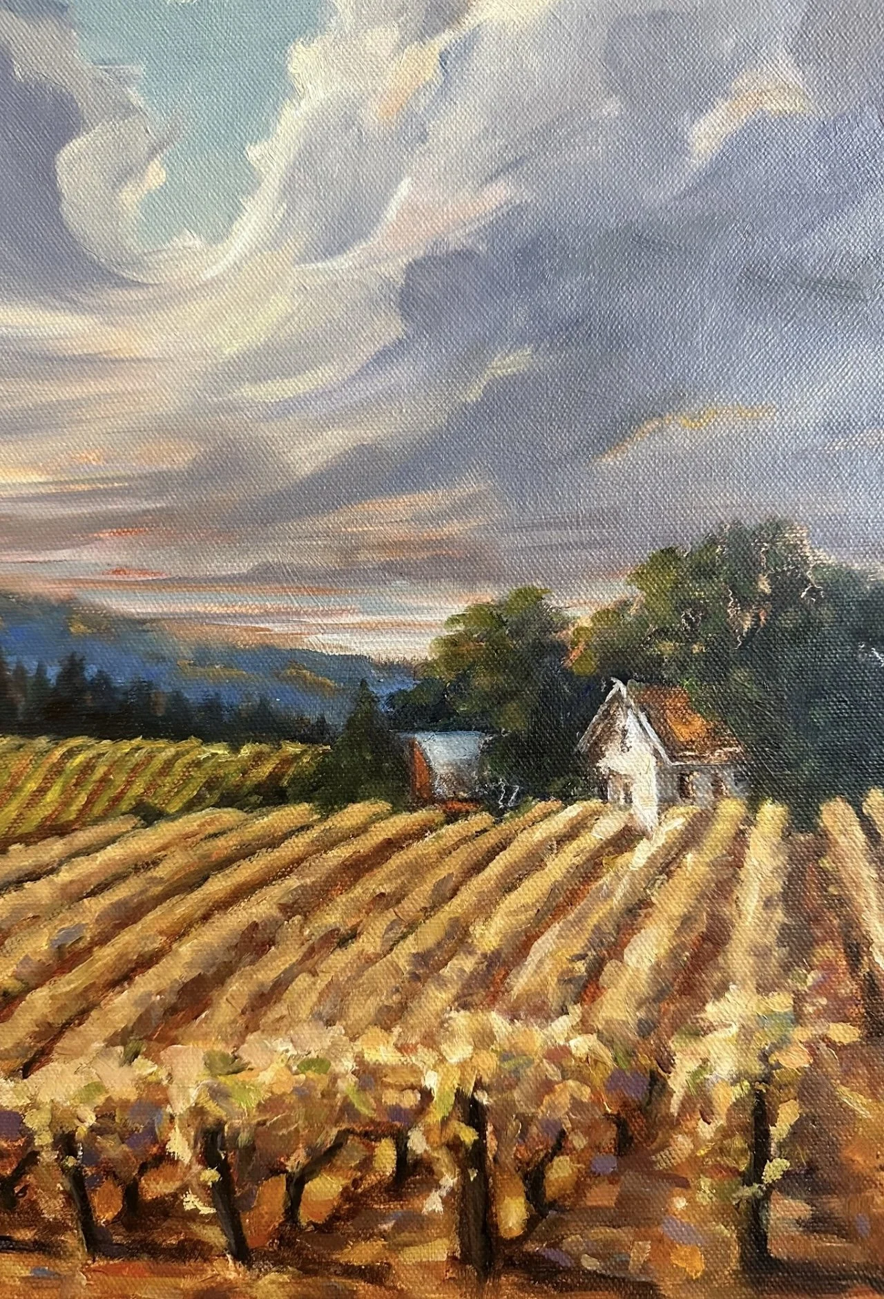 Adelsheim Outlook