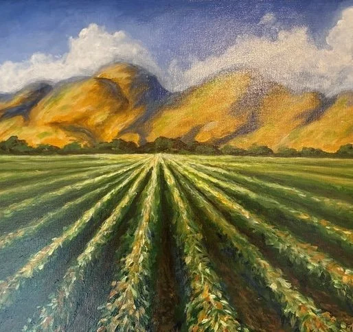 New Mexico Fields