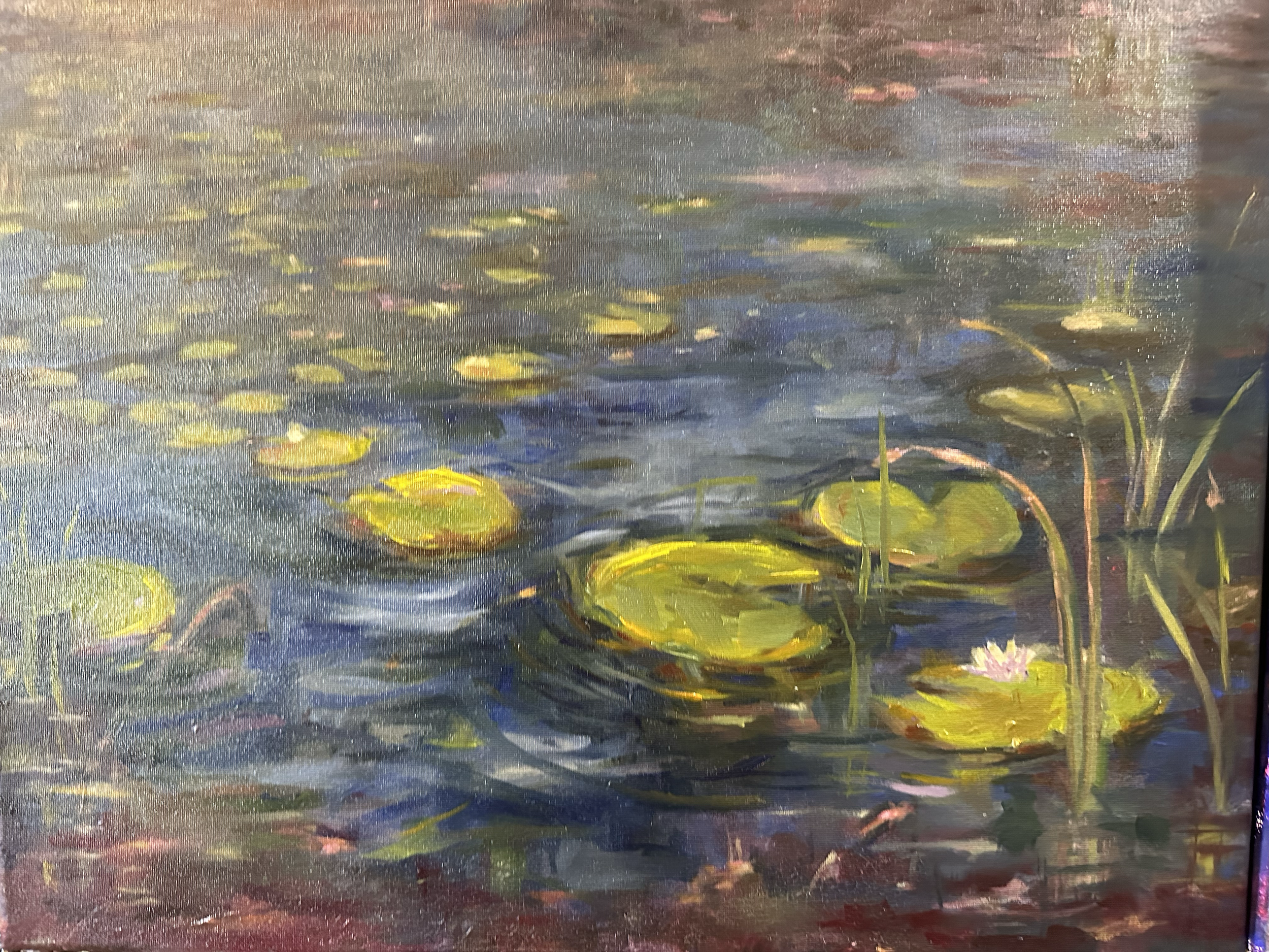 Lily Pad 1