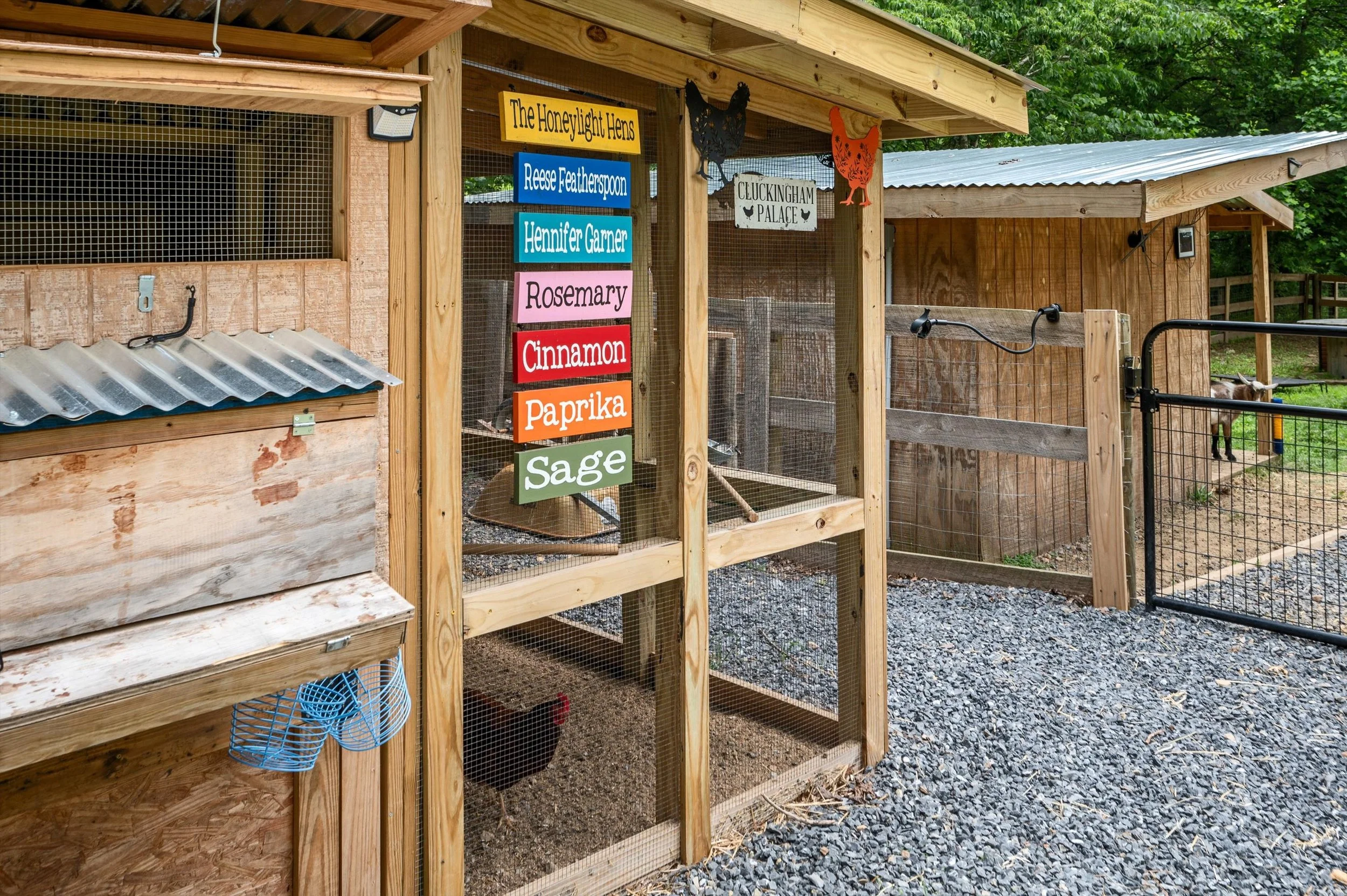 046-Chicken Coop Cluckingham Palace Name Signs . web.jpg