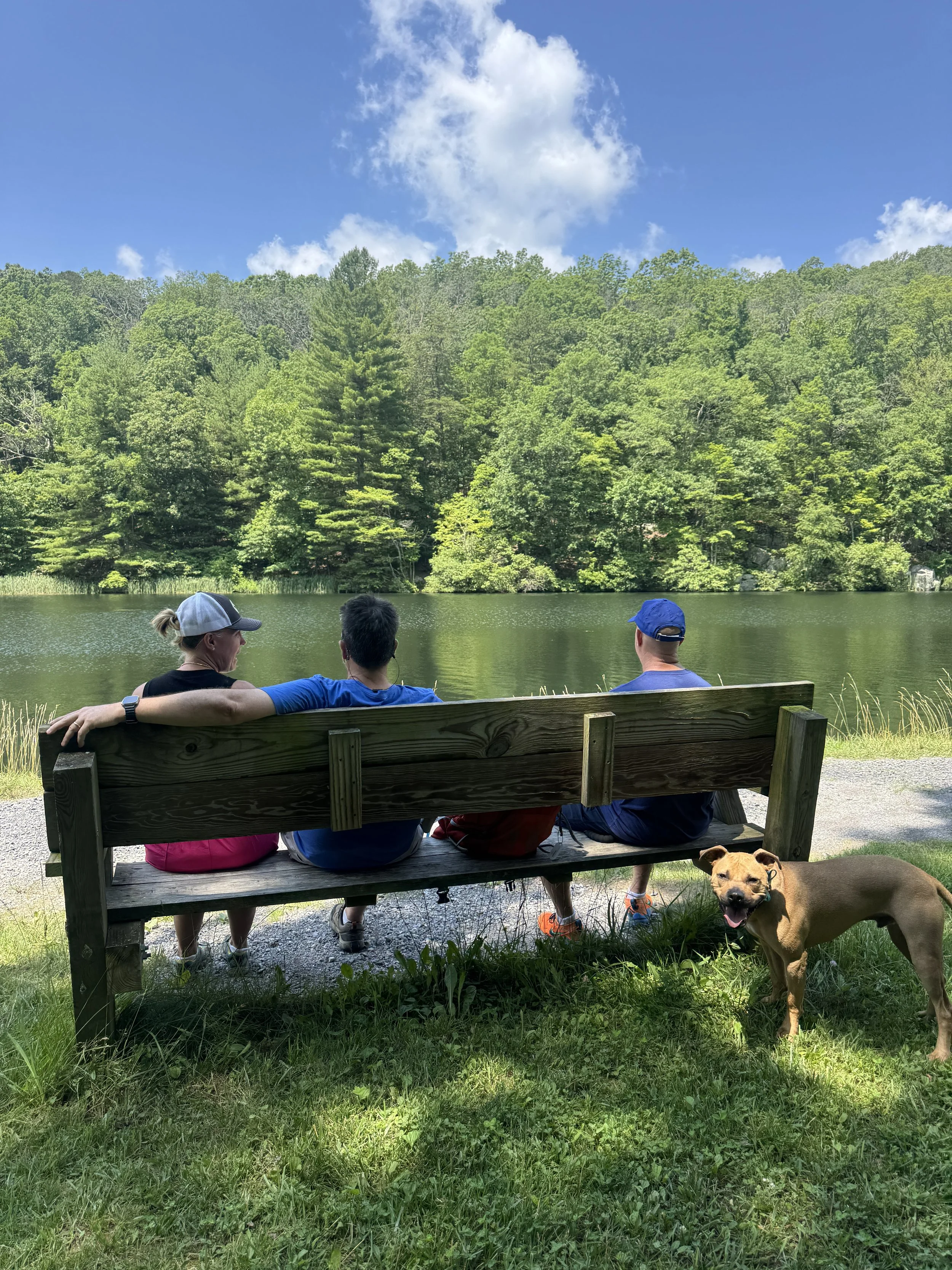 Take a break on a hike to beautiful Rock Cliff Lake in Trout Pond Recreation Area in Lost River, WV.