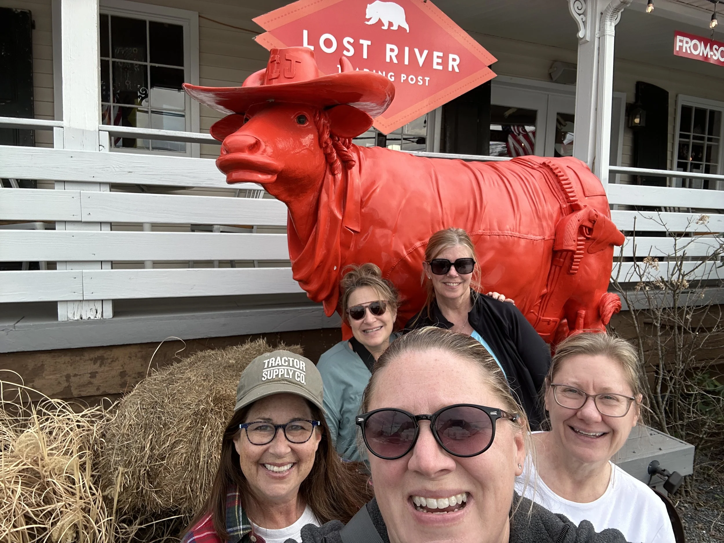 No visit to Honeylight Glamping is complete without a selfie at the orange cow at the Lost River Trading Post!
