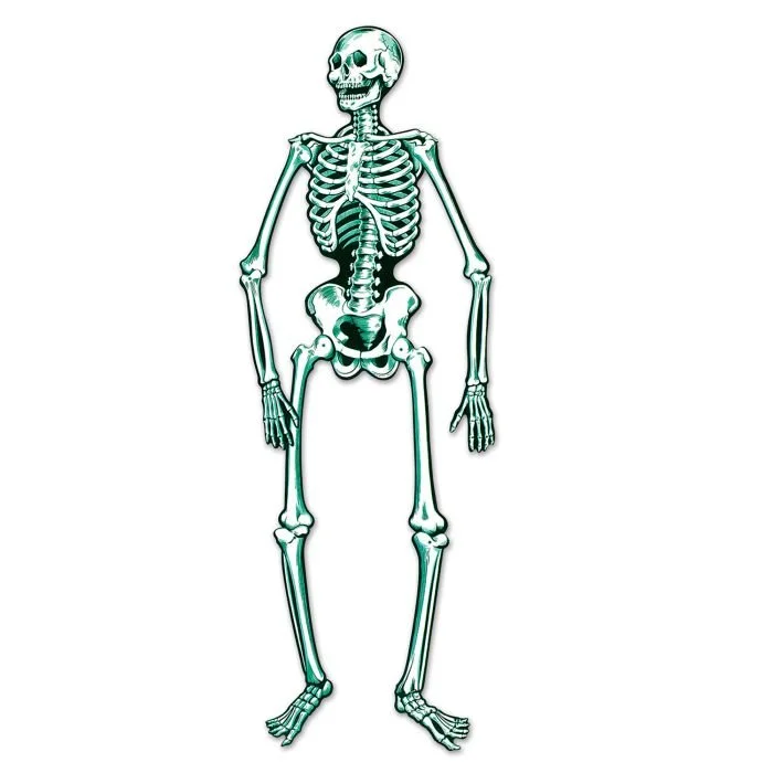 01186_jointed-skeleton.jpg