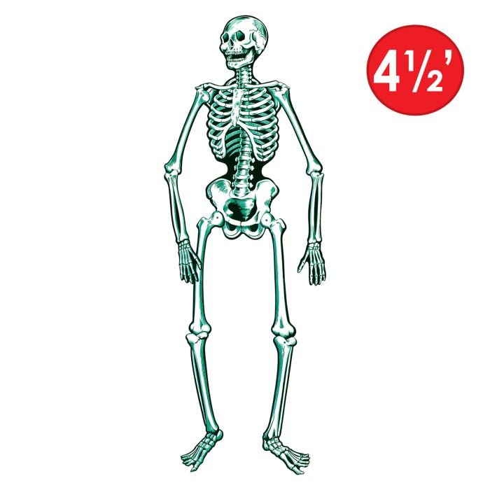 01186_i5_jointed-skeleton.jpg