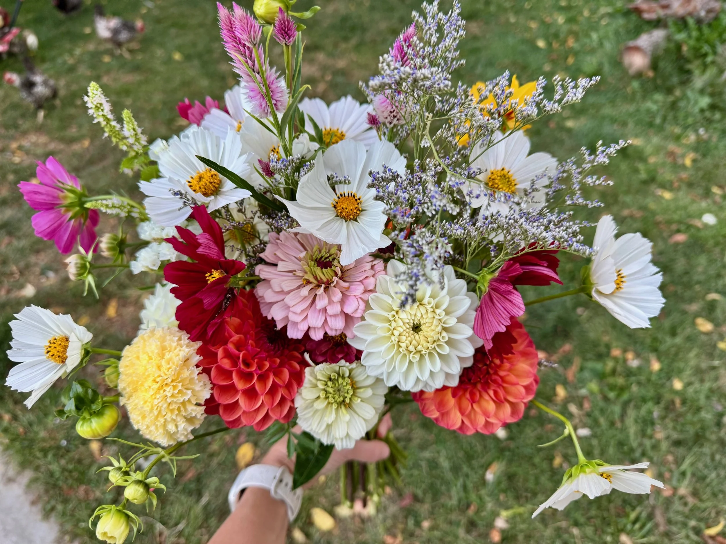 Late Summer Floral Subscription