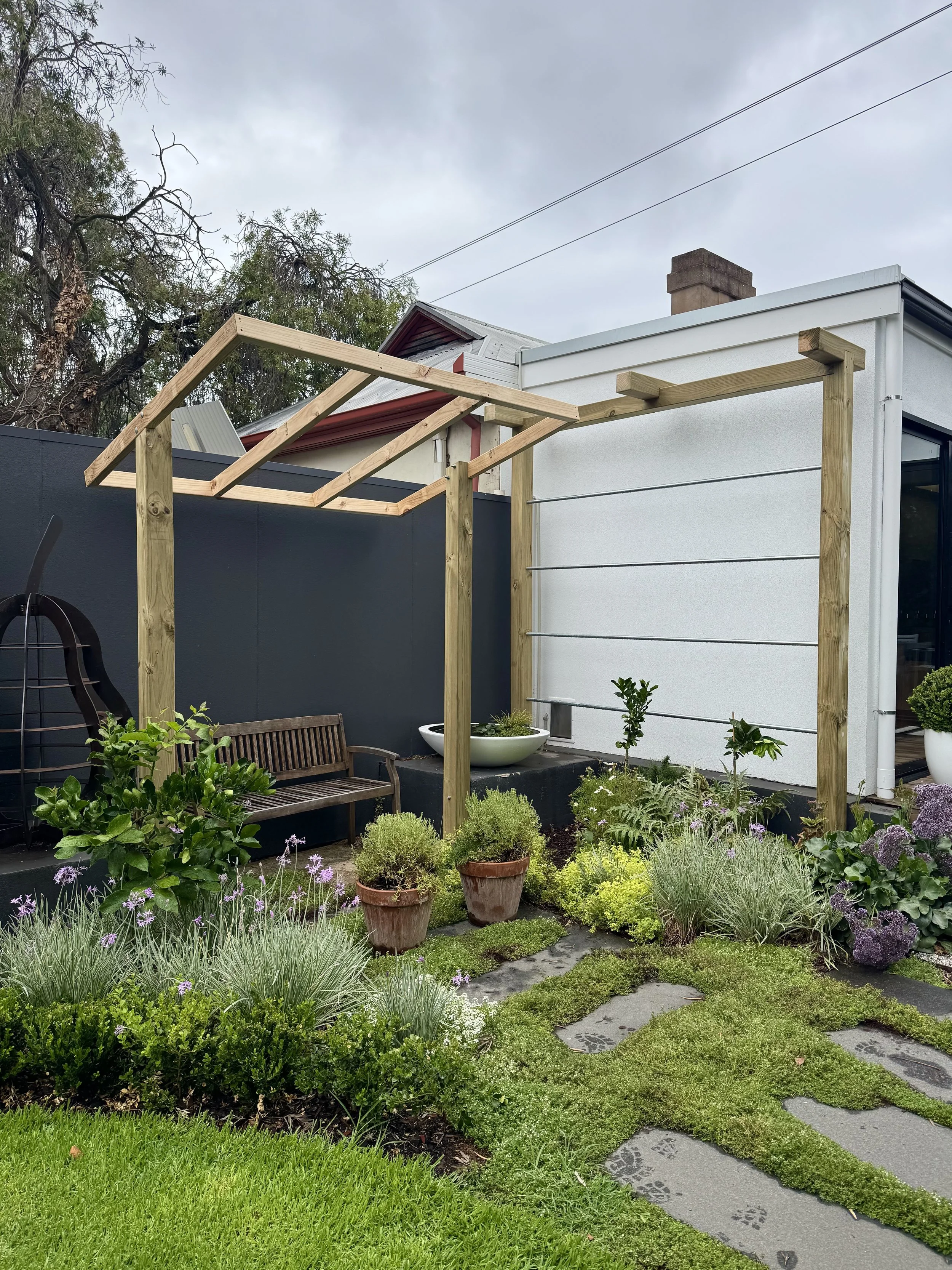 Custom built timber trellis for an espalier pear, with an angled structure for star jasmine to grow.