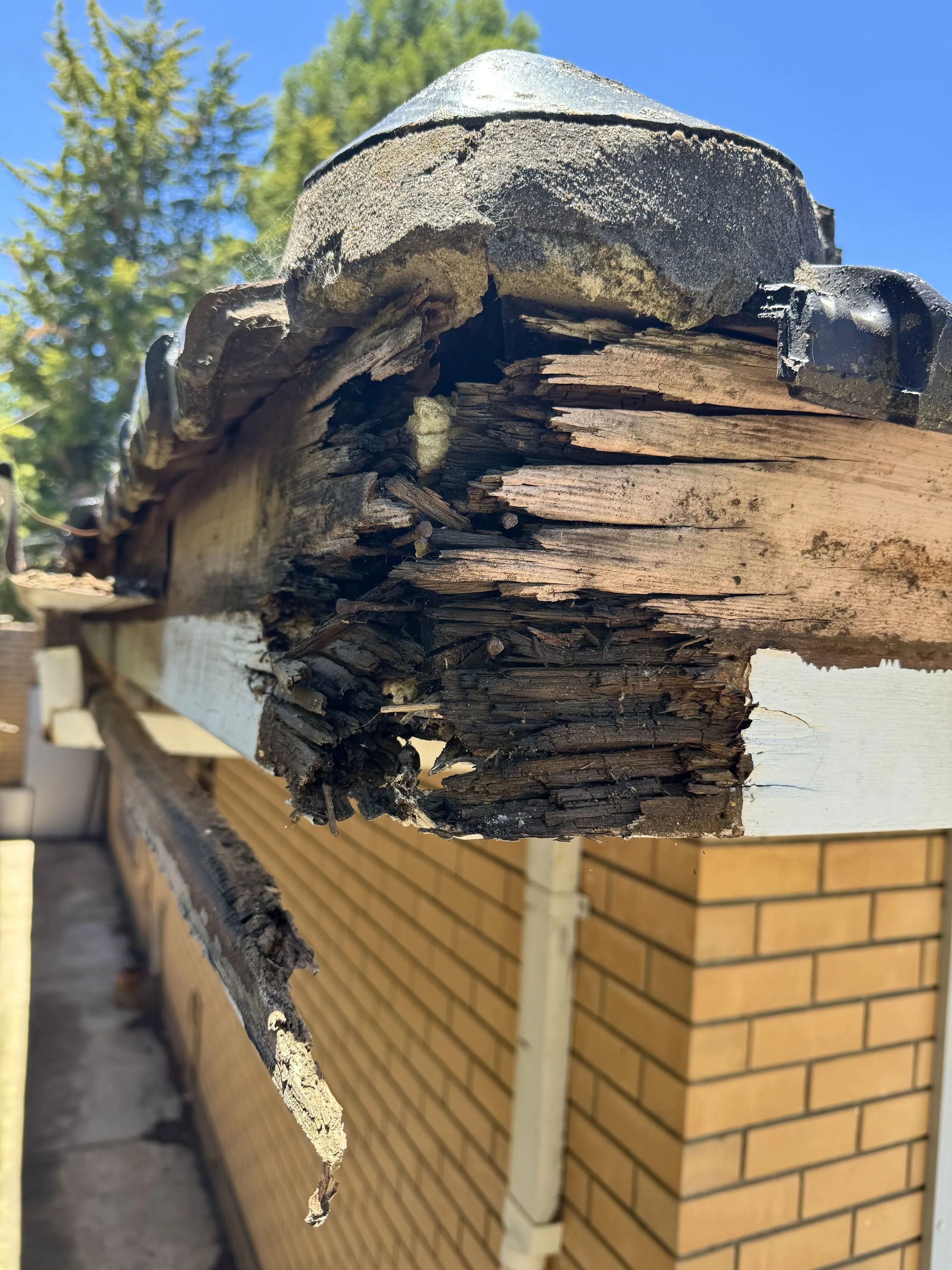 Replacement of rotted timber fascia.
