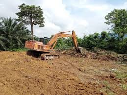 Excavator land clearing.jpg