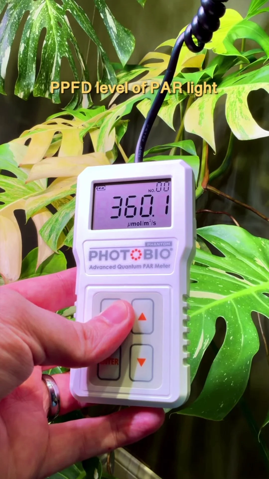 Instagram testimonial from @jaketheplantguy measuring Airos light output with a PAR meter