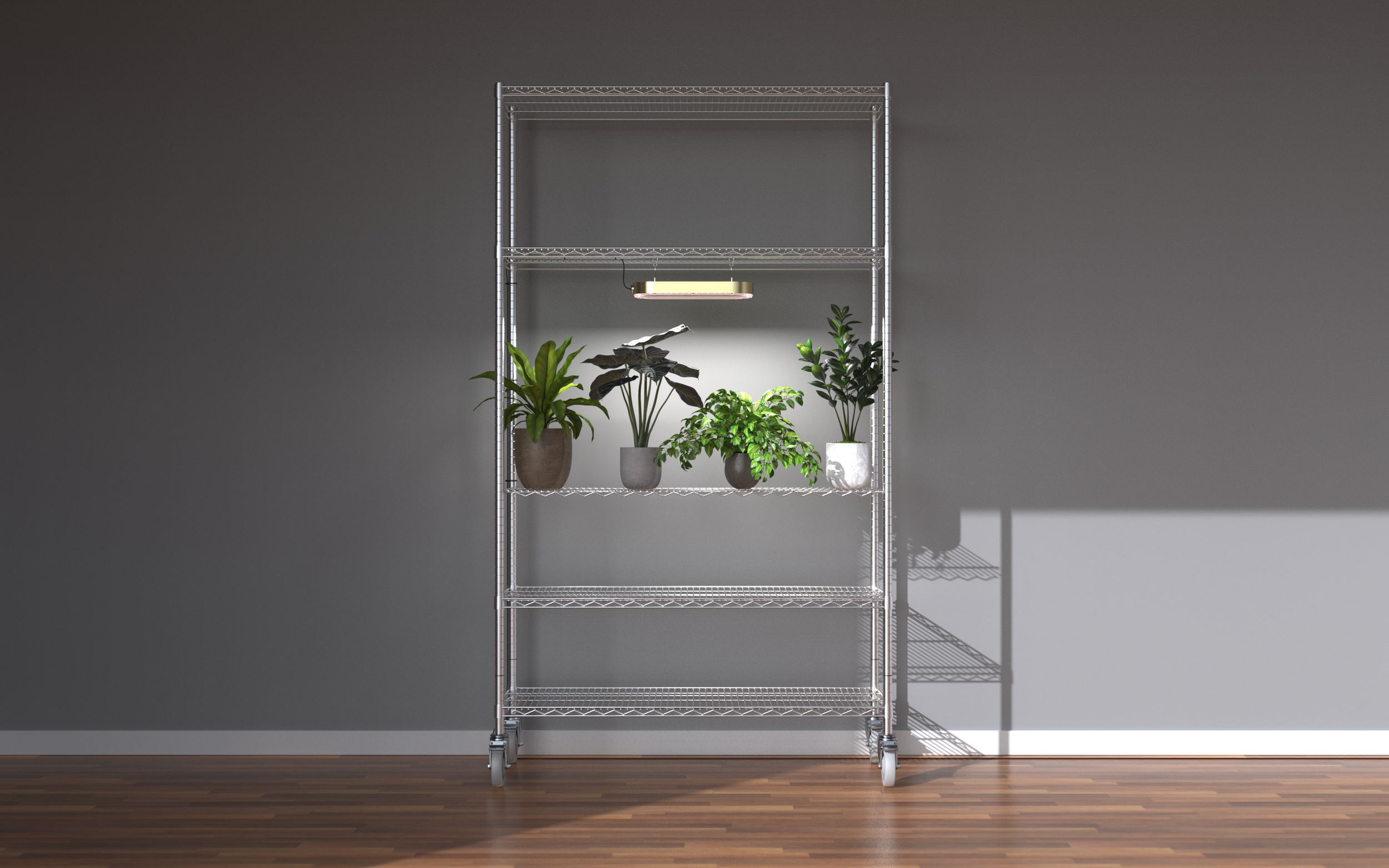 Shelf Interior 02.png
