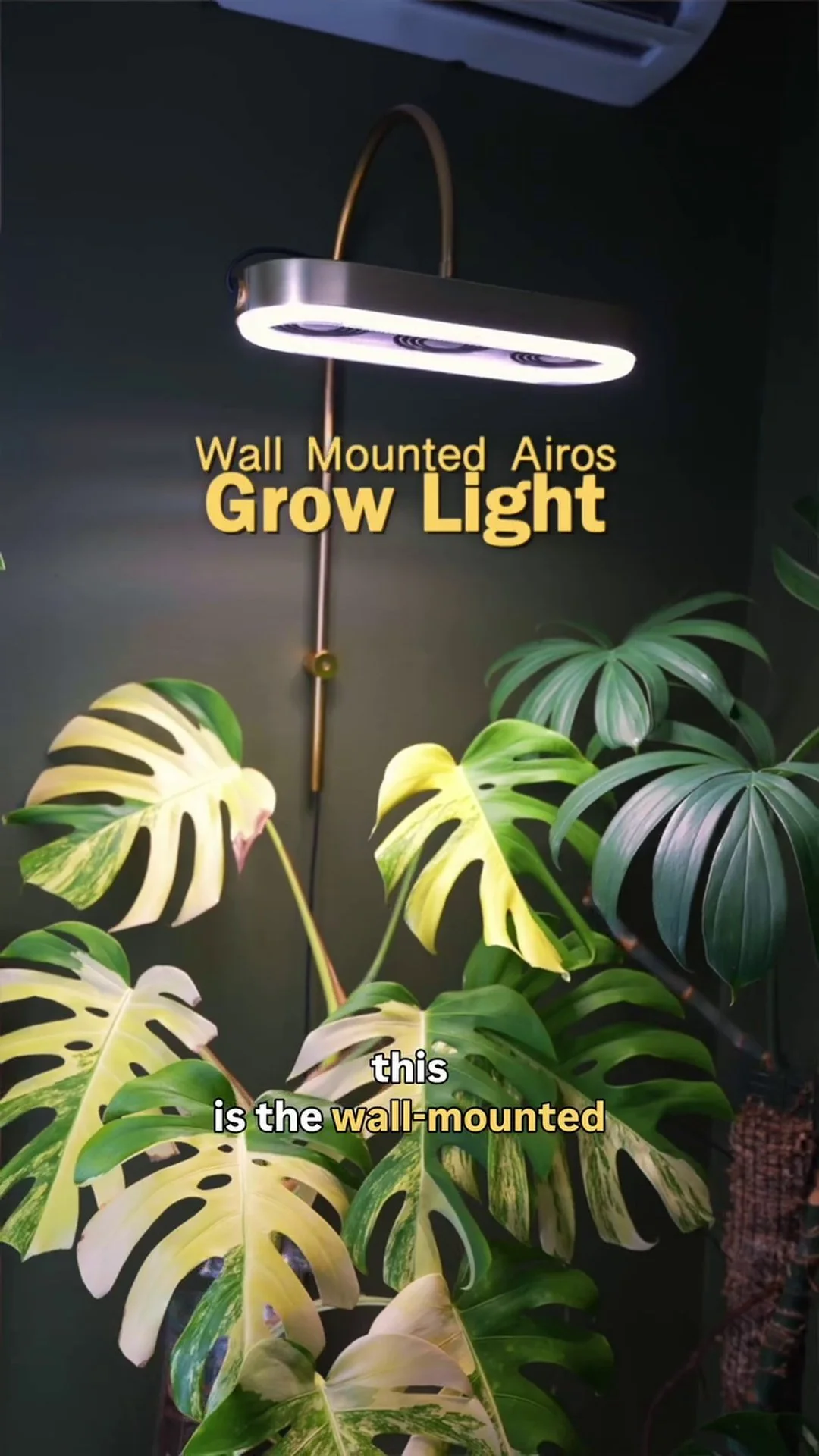 Instagram testimonial from @jaketheplantguy praising Airos grow light's airflow feature for houseplant care
