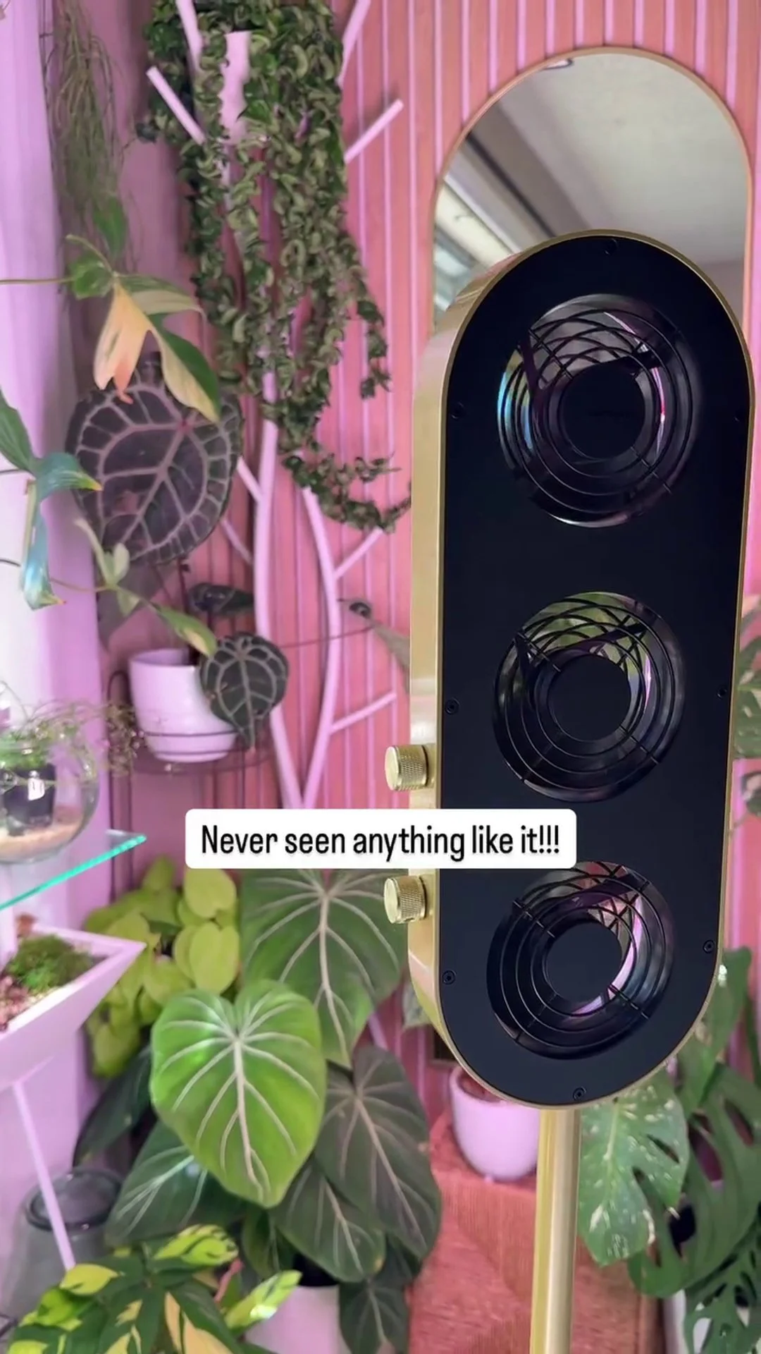 Instagram testimonial from @plants_itsavibe showing the Airos grow light among houseplants