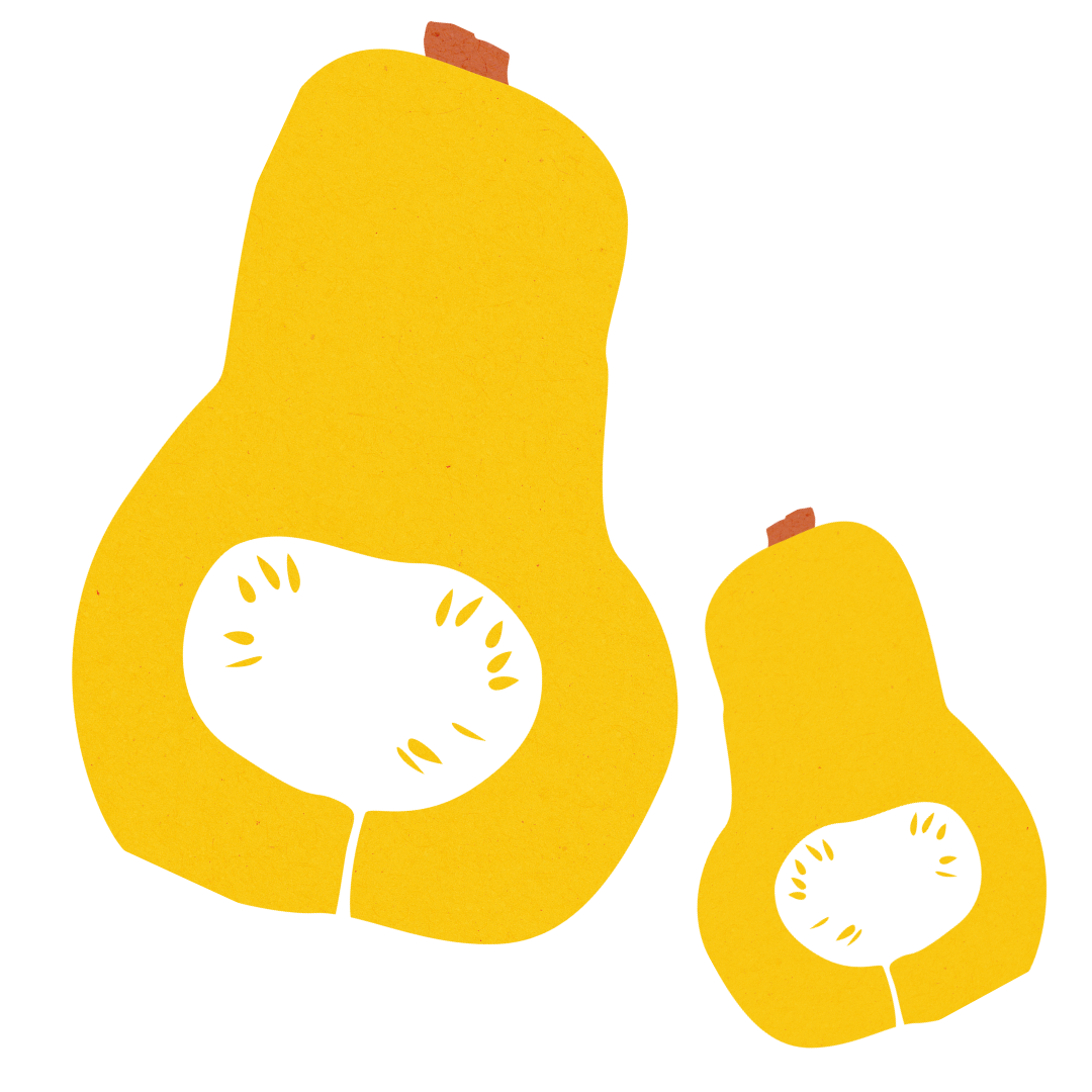 Illustration of two yellow butternut squash halves portraying a mother and baby.