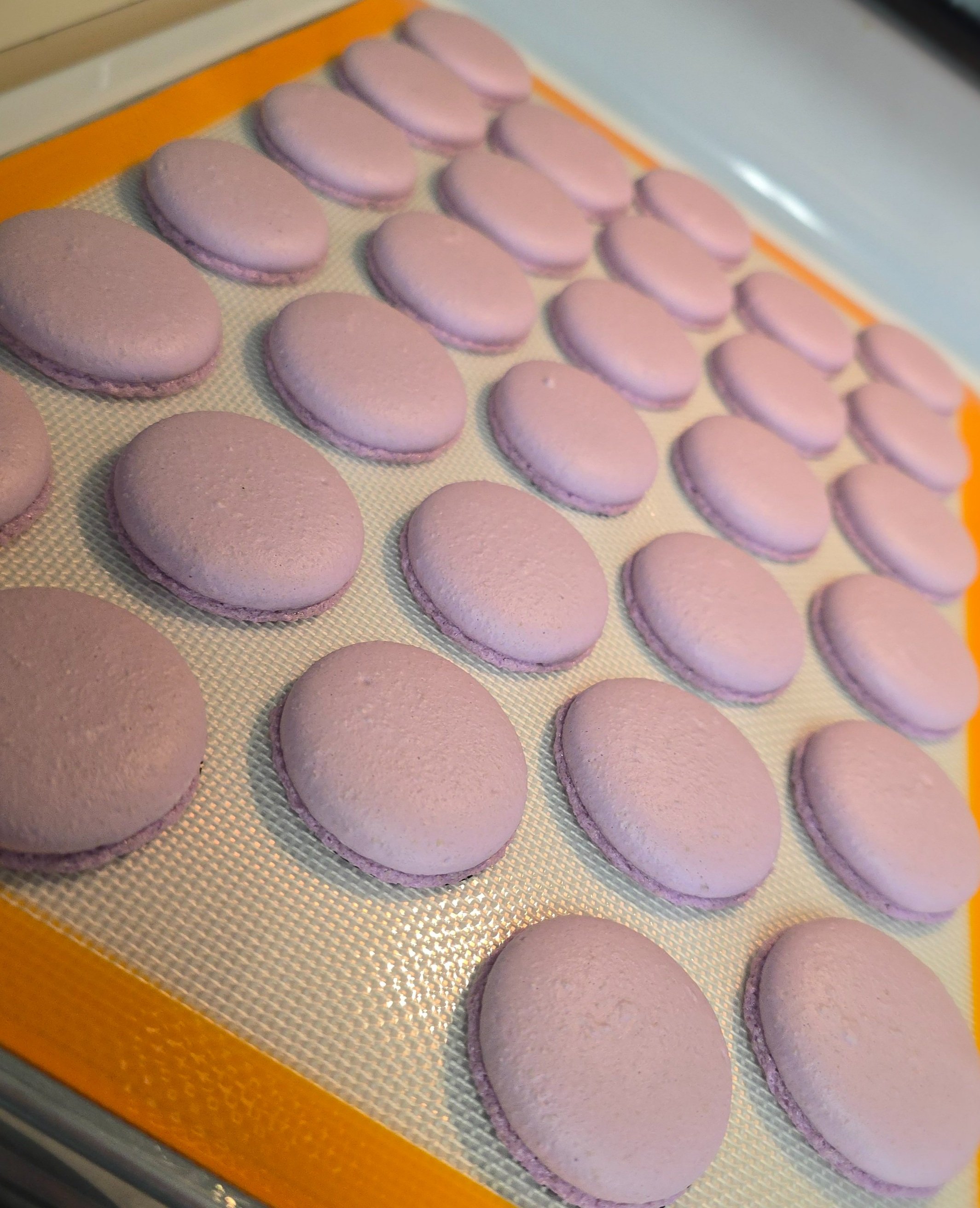 Purple+mac+shells.jpg