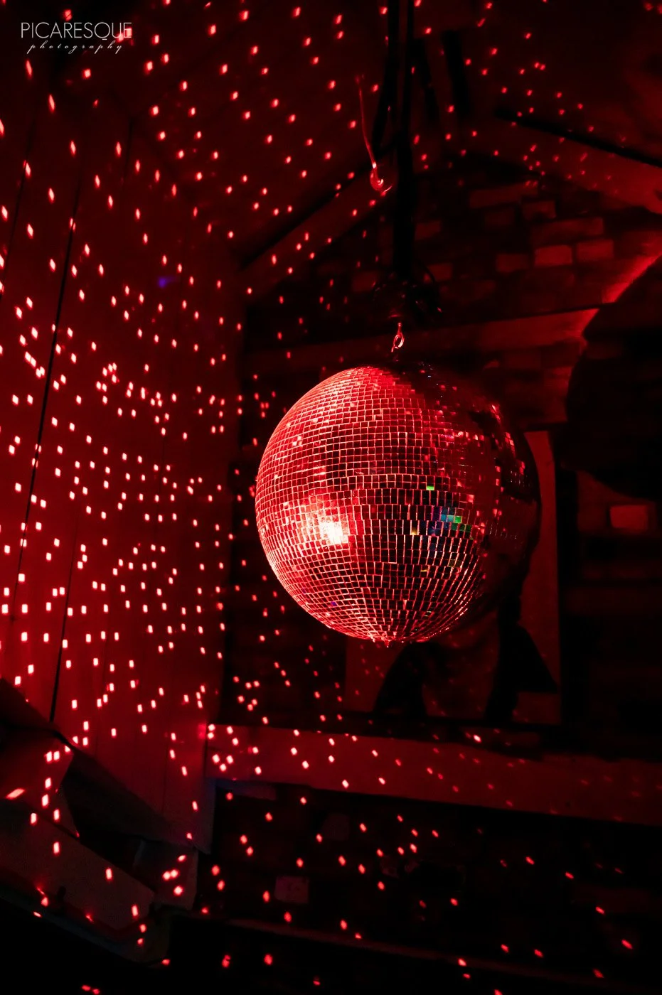 Copy of Picaresque_SpaceDisco-086.jpg