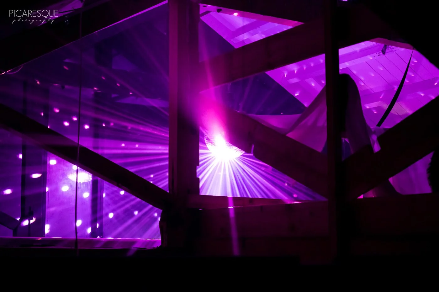 Copy of Picaresque_SpaceDisco-088.jpg