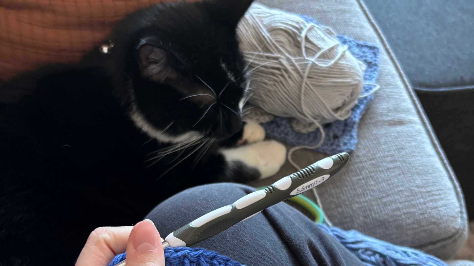 Black and white cat lying on a couch with a ball of yarn nearby. Someone's hand holding a white and gray crochet hook is in the foreground.