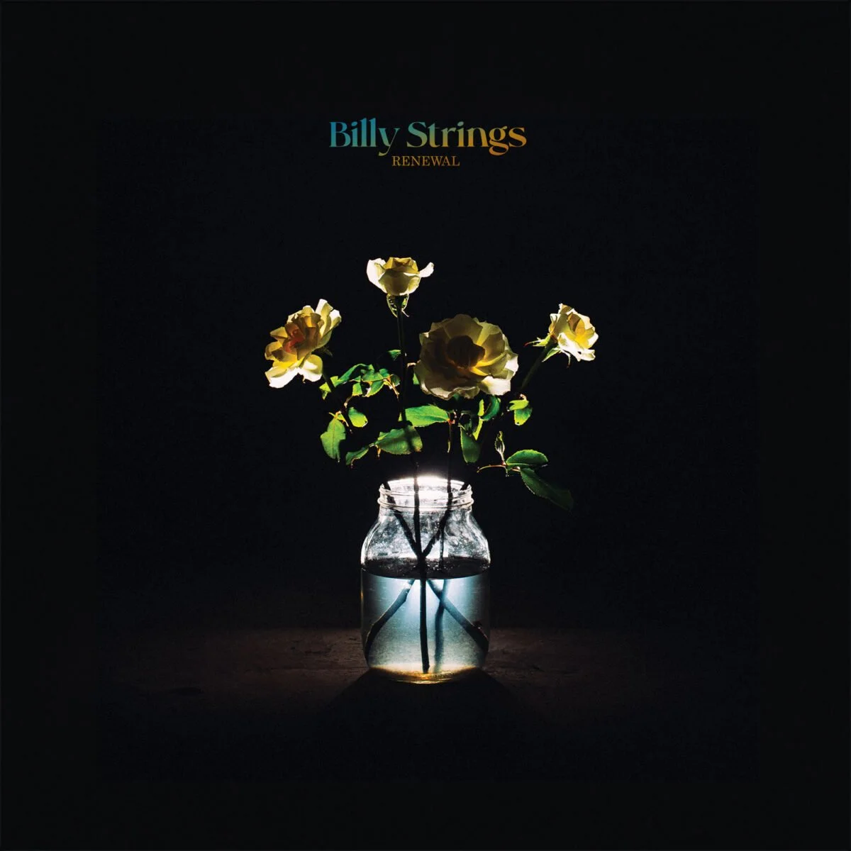 This album got me into Billy Strings!