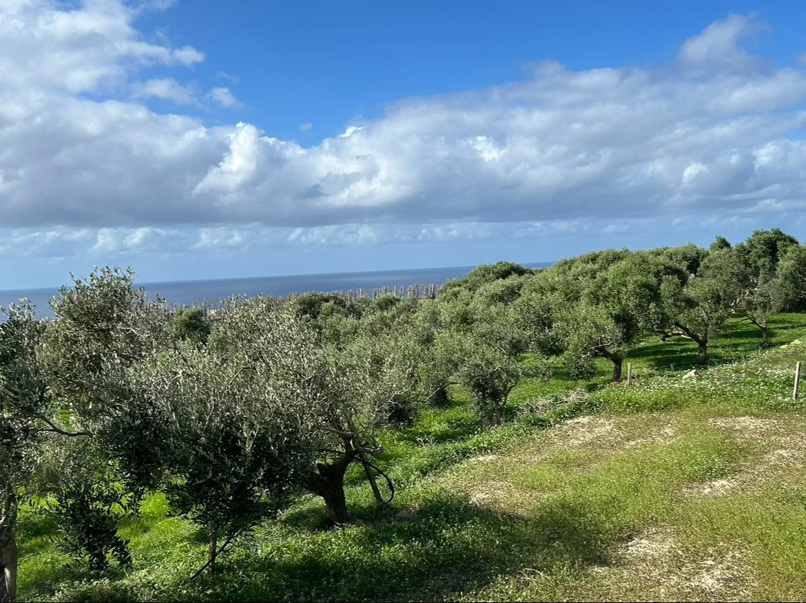 …the state of things