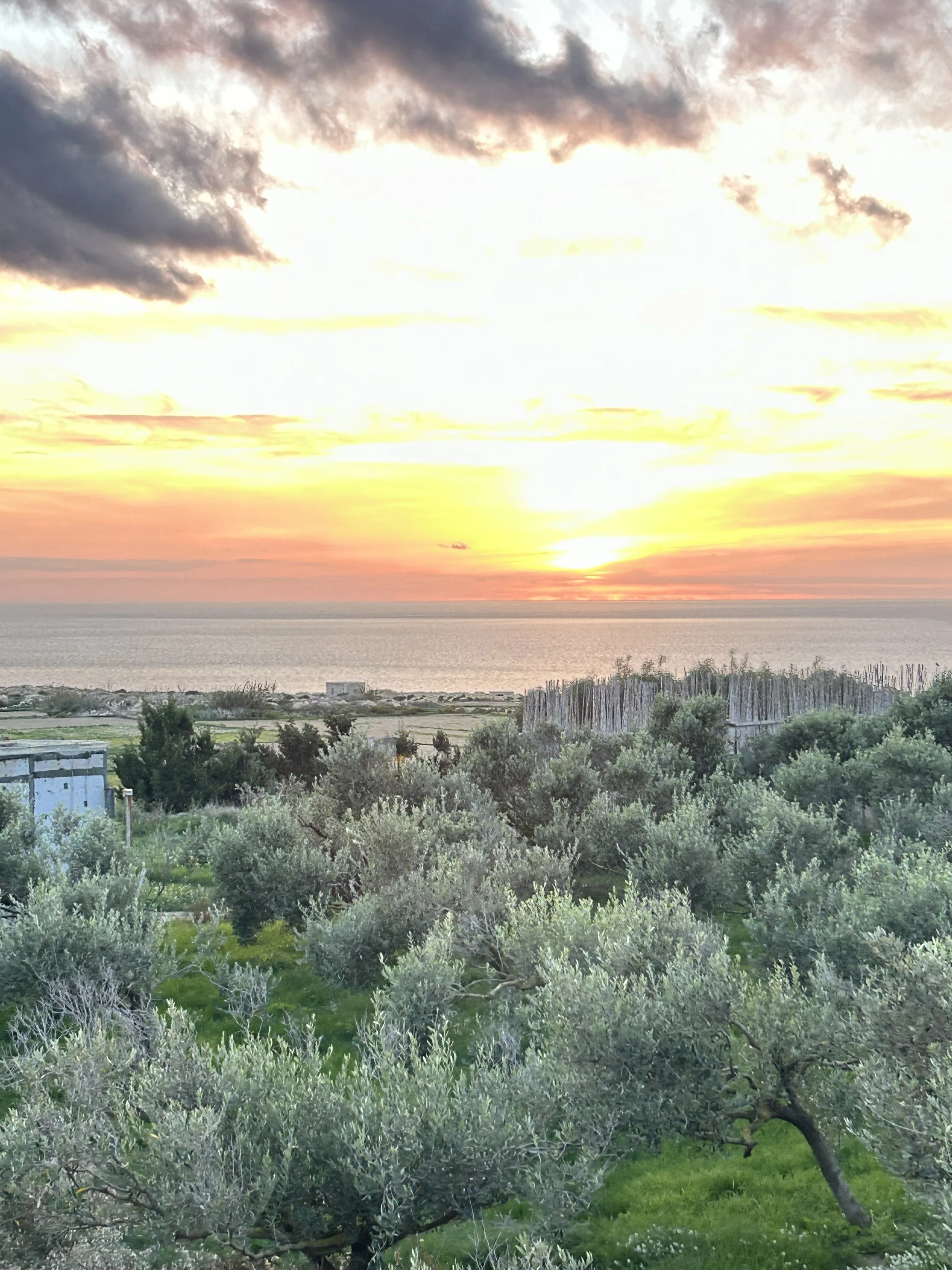 The Apple, the Garden, and the Lie We Keep Recycling: A case for AI, By Way of Sunday School.