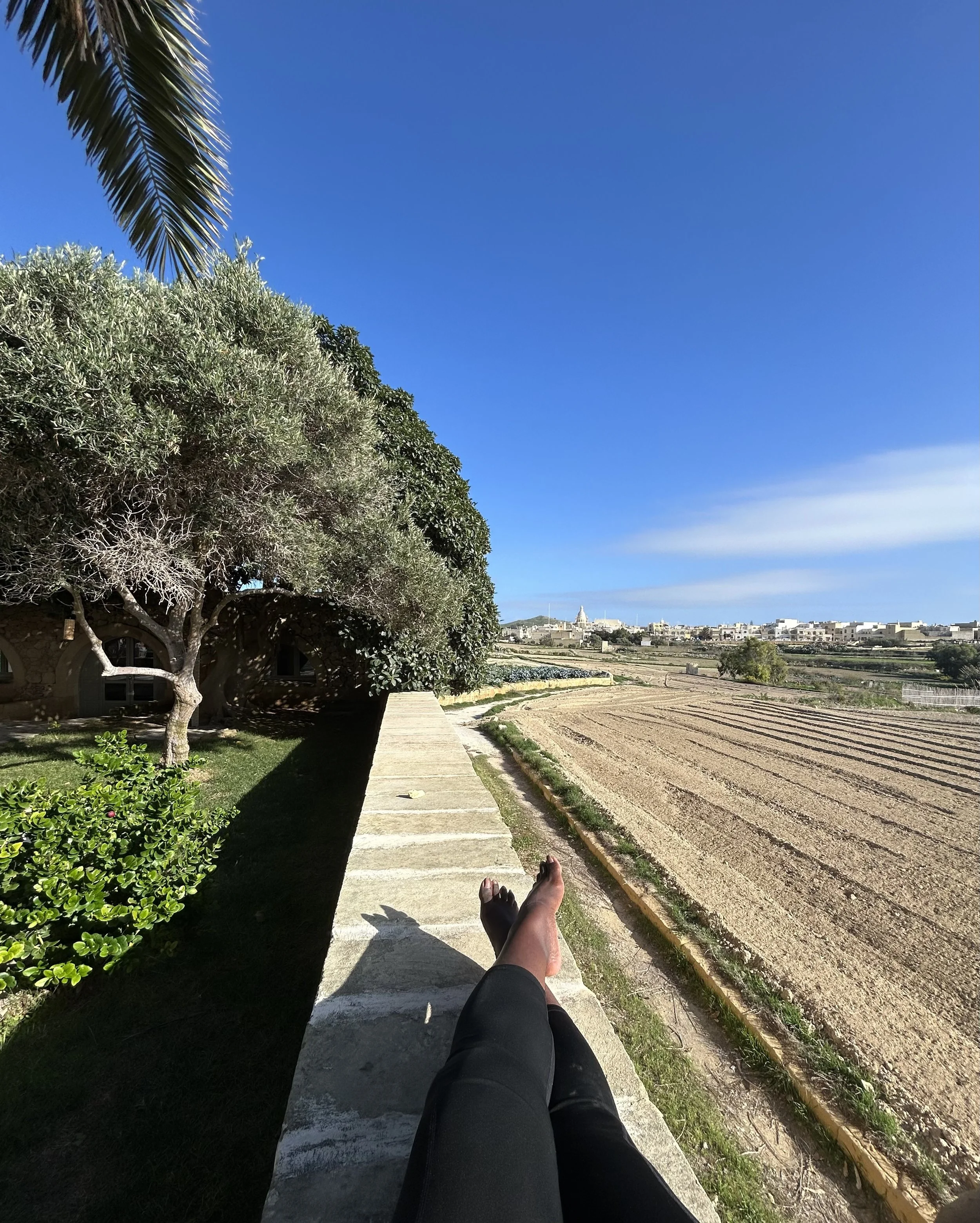 What’s Honored Stops Haunting: A thought on reparations