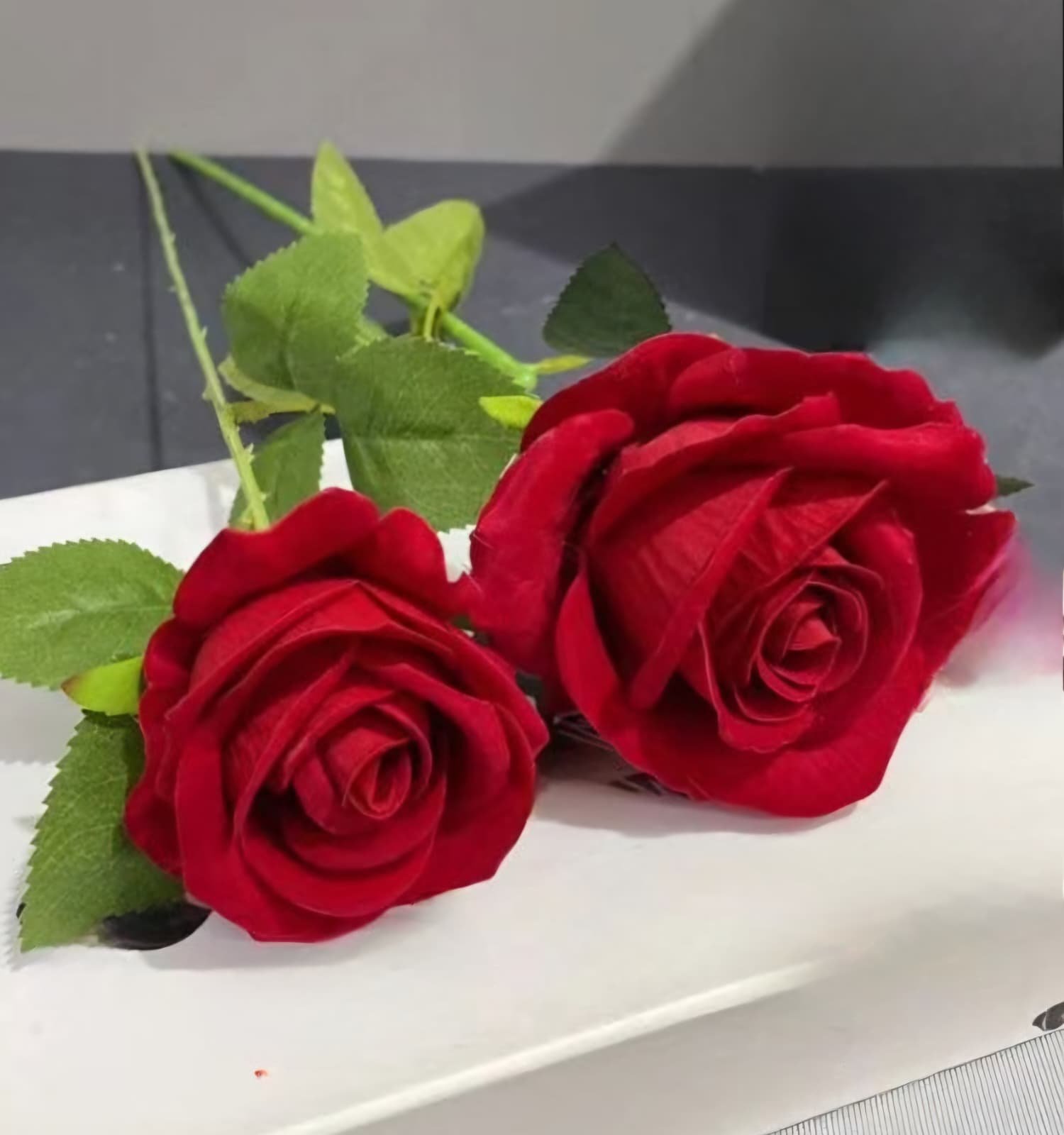 WhatsApp Image 2025-10-18 at 15.37.53.jpeg