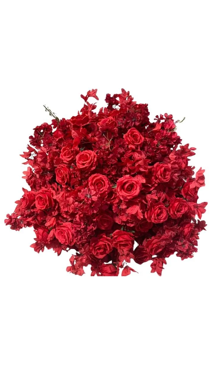 WhatsApp Image 2025-10-18 at 15.41.24 (1).jpeg