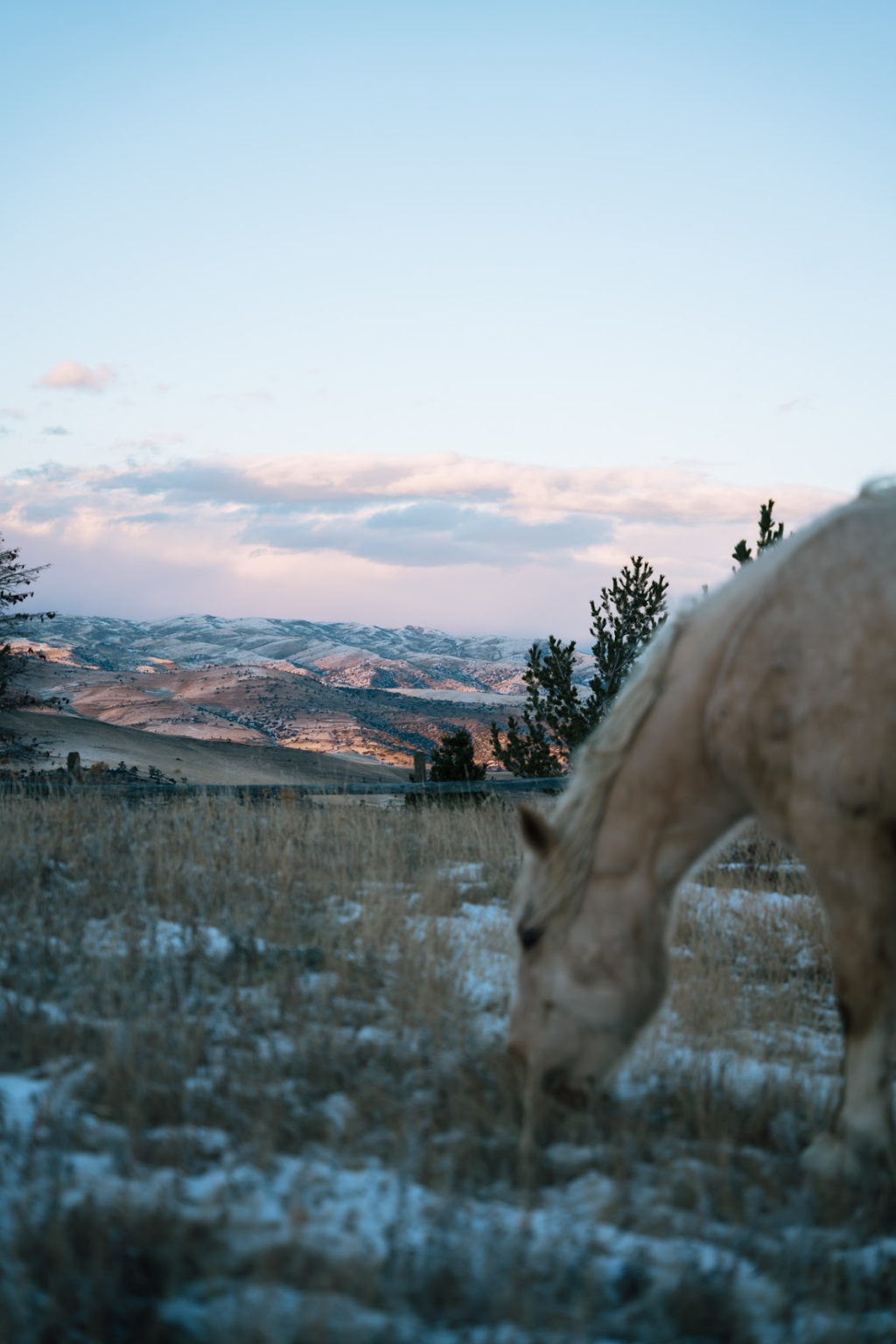 Screen Shot 2025-11-21 at 3.14.27 PM.png