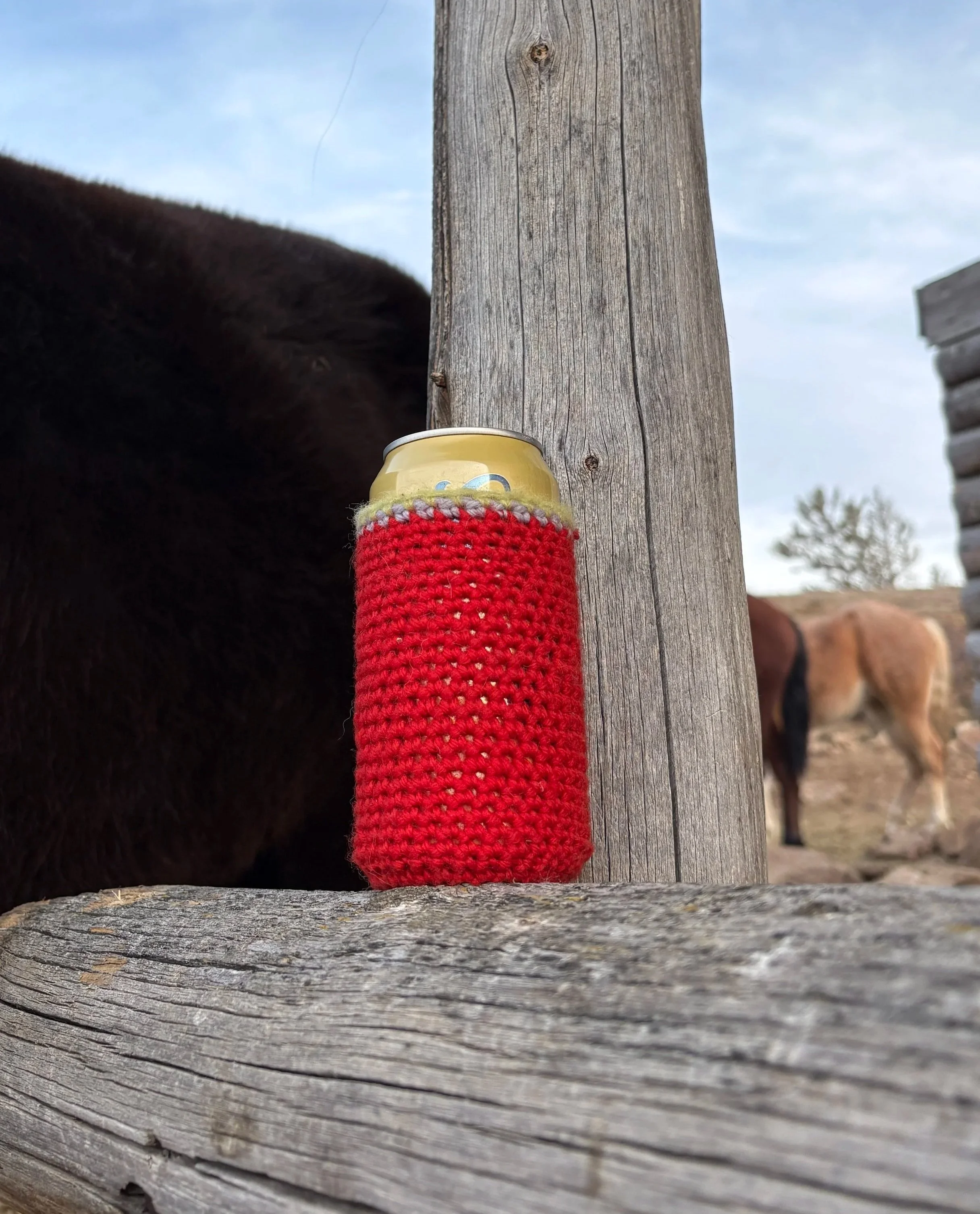 Chore Coozie