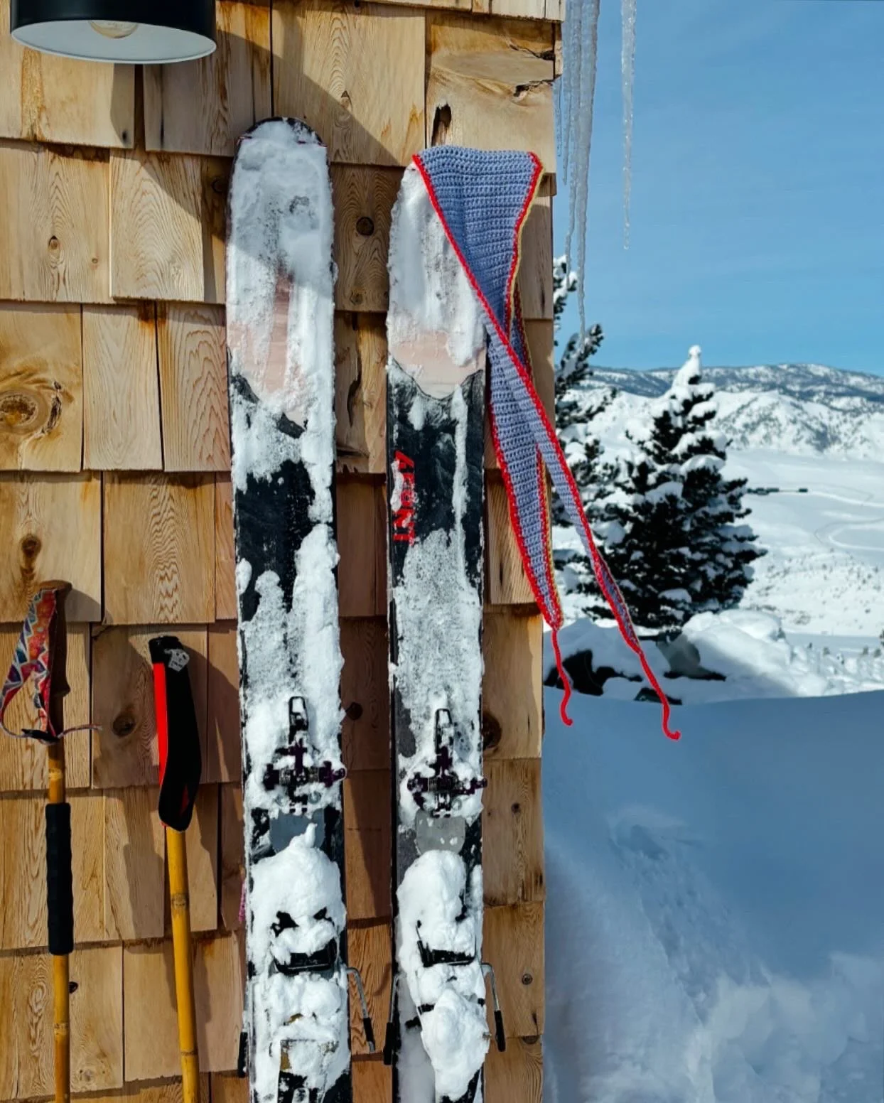 July in Jan Skis.JPG