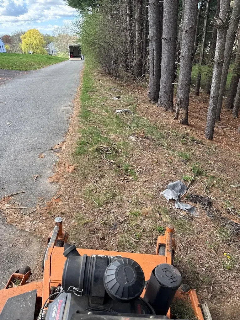 Fall cleanup and leaf removal service, commercial-grade equipment tackling heavy leaf buildup along driveways, tree lines, and large open areas efficiently and thoroughly.