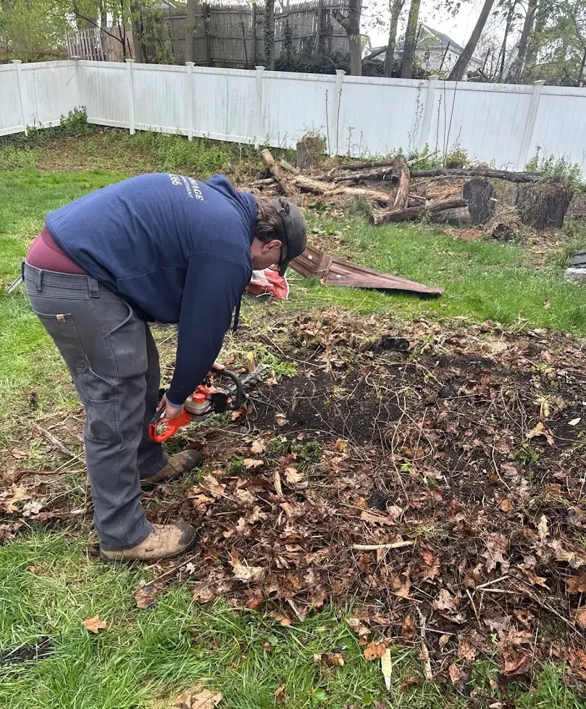 Professional crew clearing debris, dead leaves, and fallen branches during a spring yard cleanup in Connecticut.