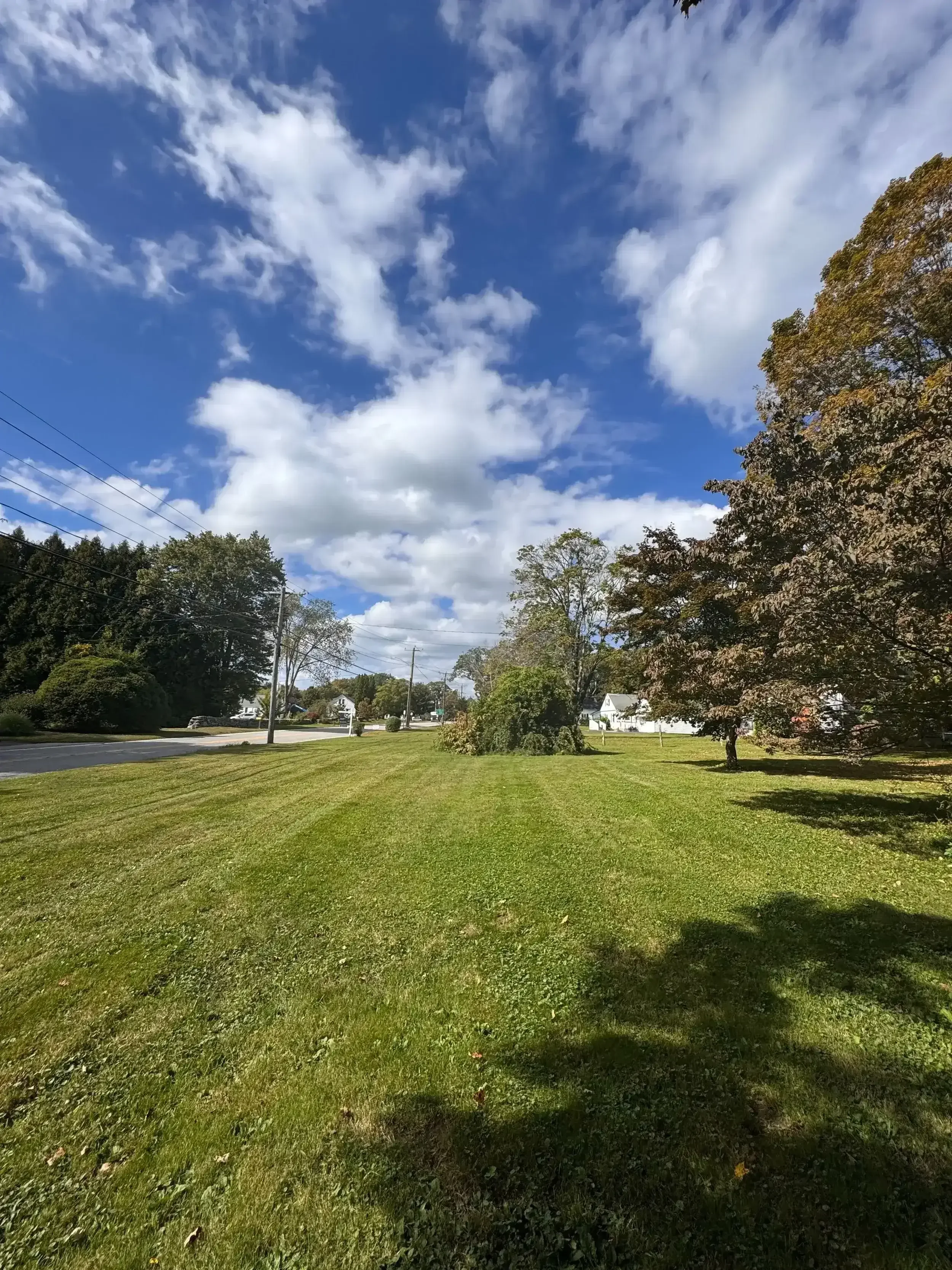 lawn cleanup-yard-mowing-connecticut.webp