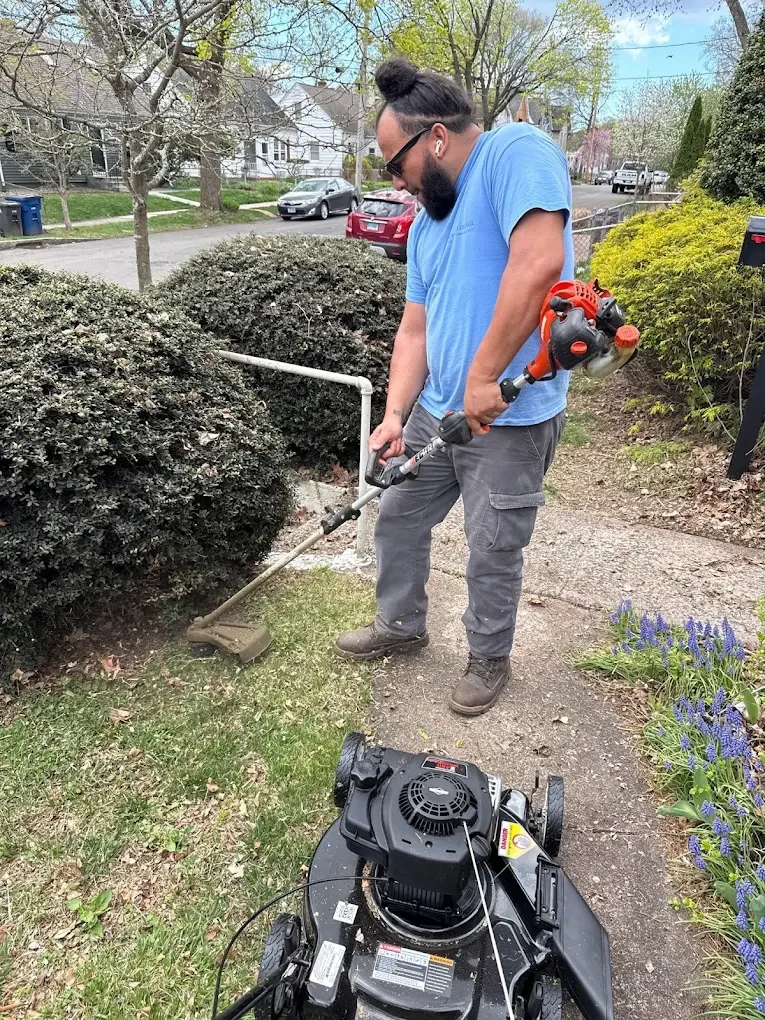 Professional spring cleanup crew trimming hedges and edging walkways for residential properties in Connecticut.