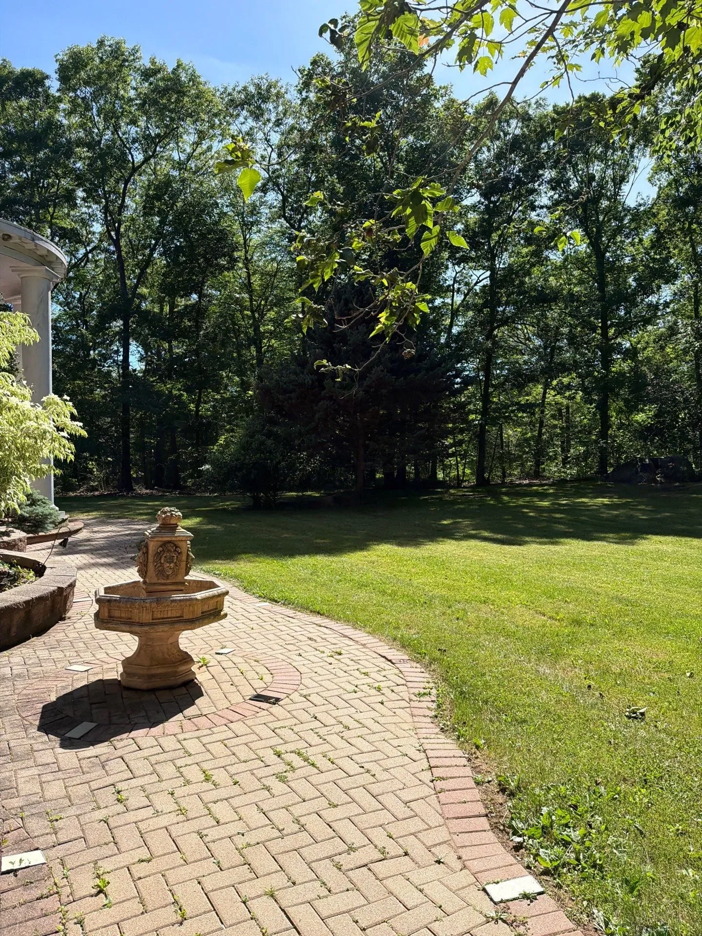 Fresh mowing stripes on a residential lawn in New Haven County, CT during early summer