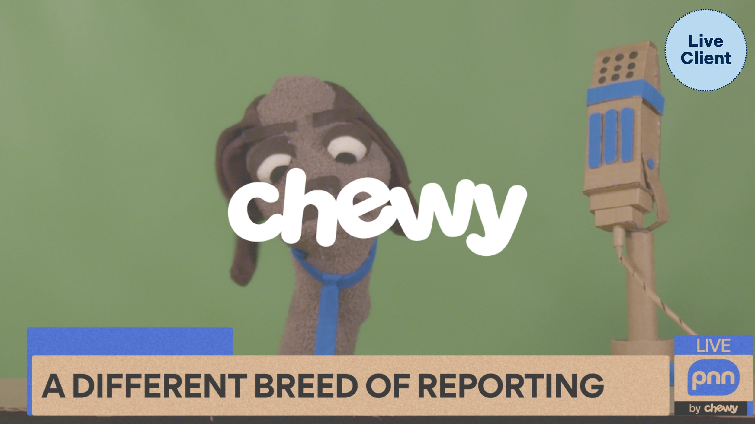 Social Content Series (Live Client Pitch)