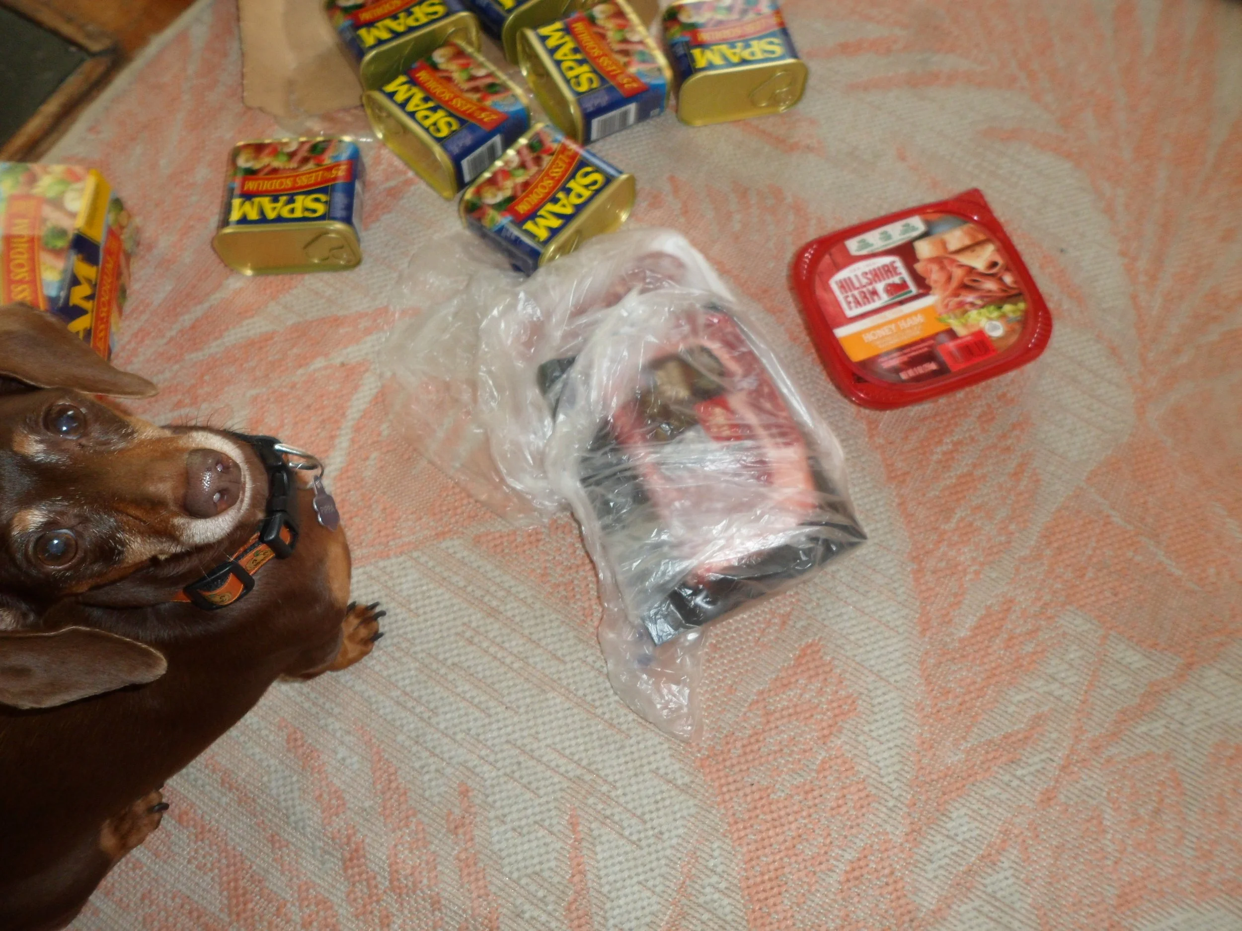 Packing the essentials