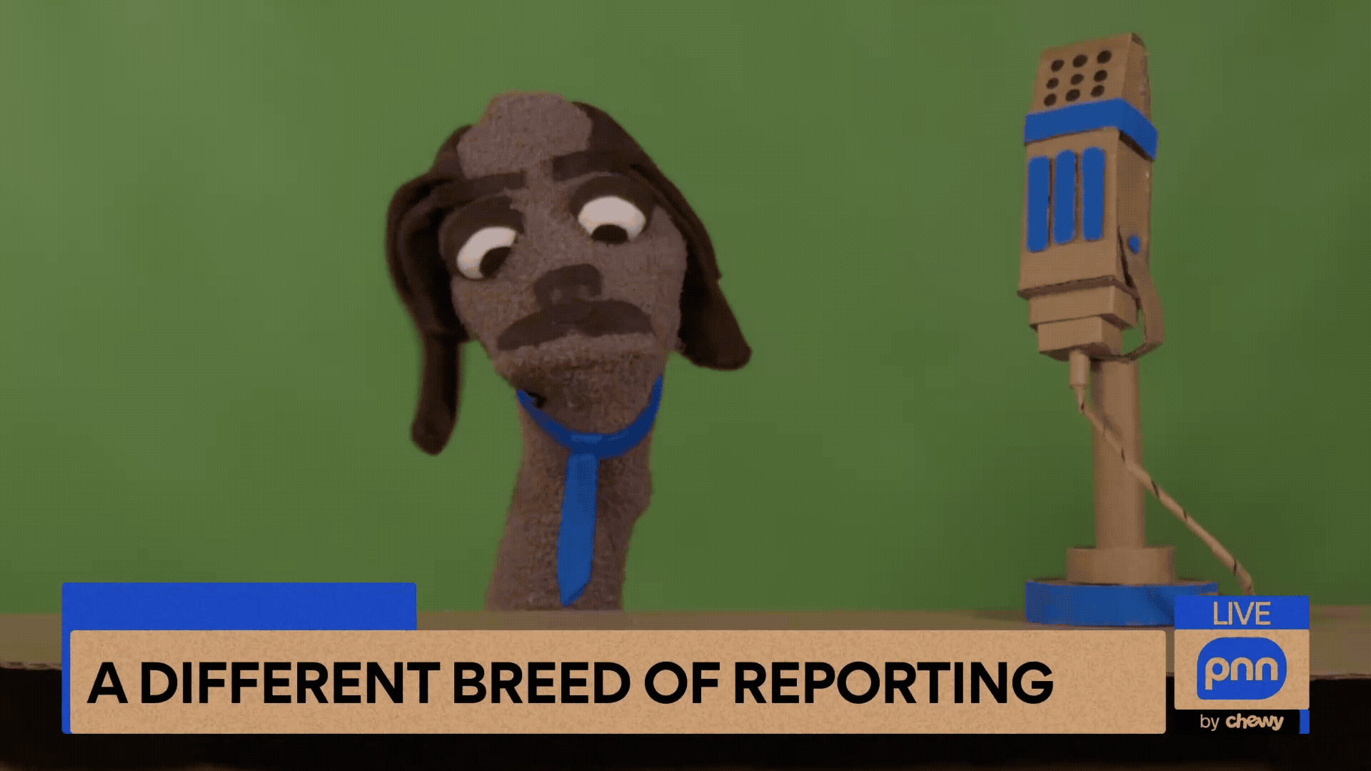 Chewy (Live Client Pitch)