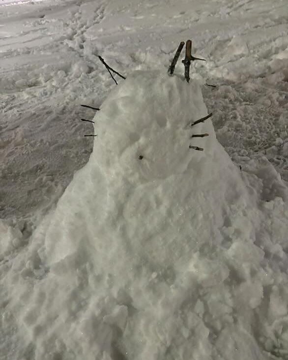 THE SNOWCAT IS EVERYTHING TO ME *submission*