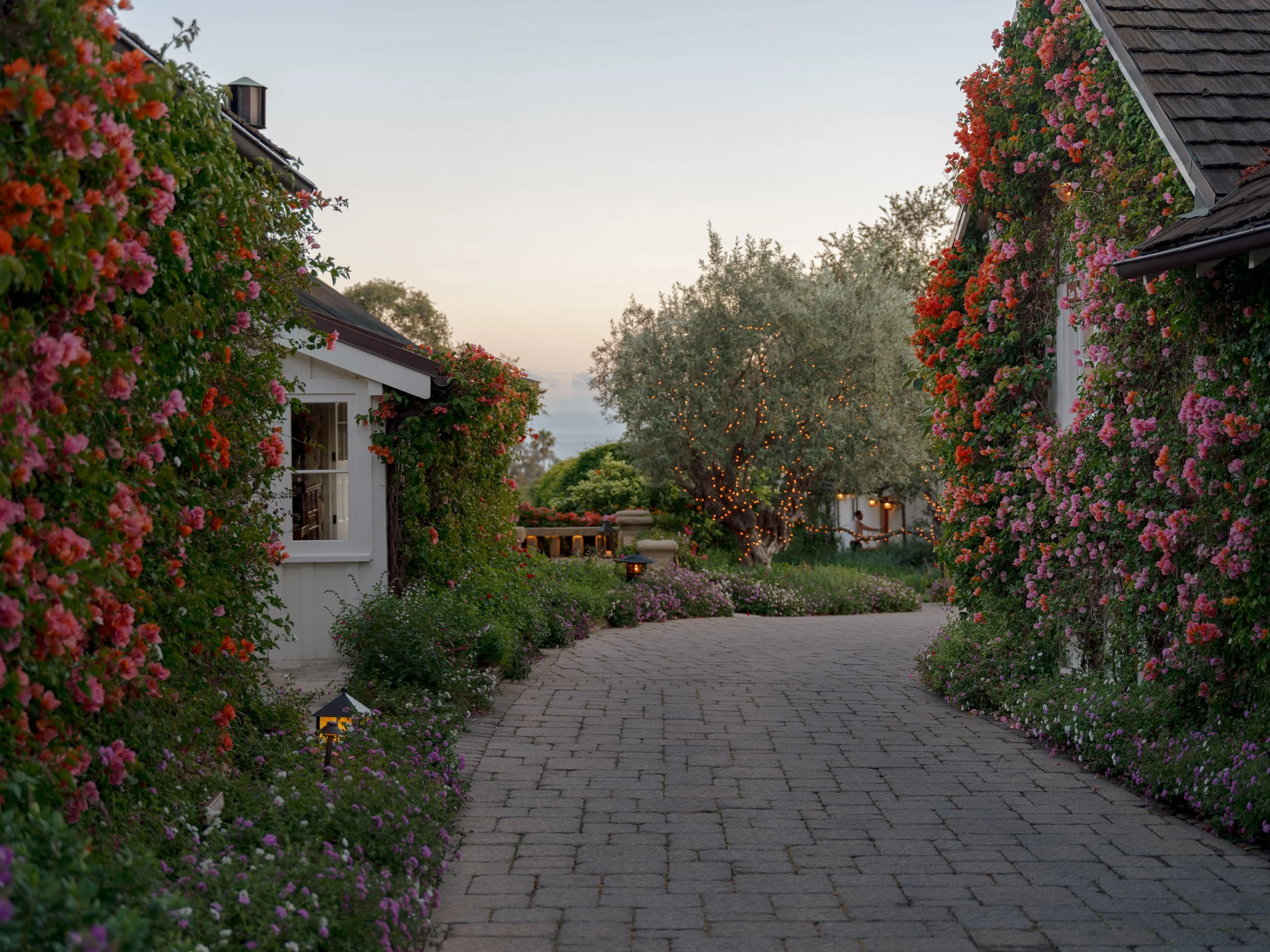 DSCF2915.JPG