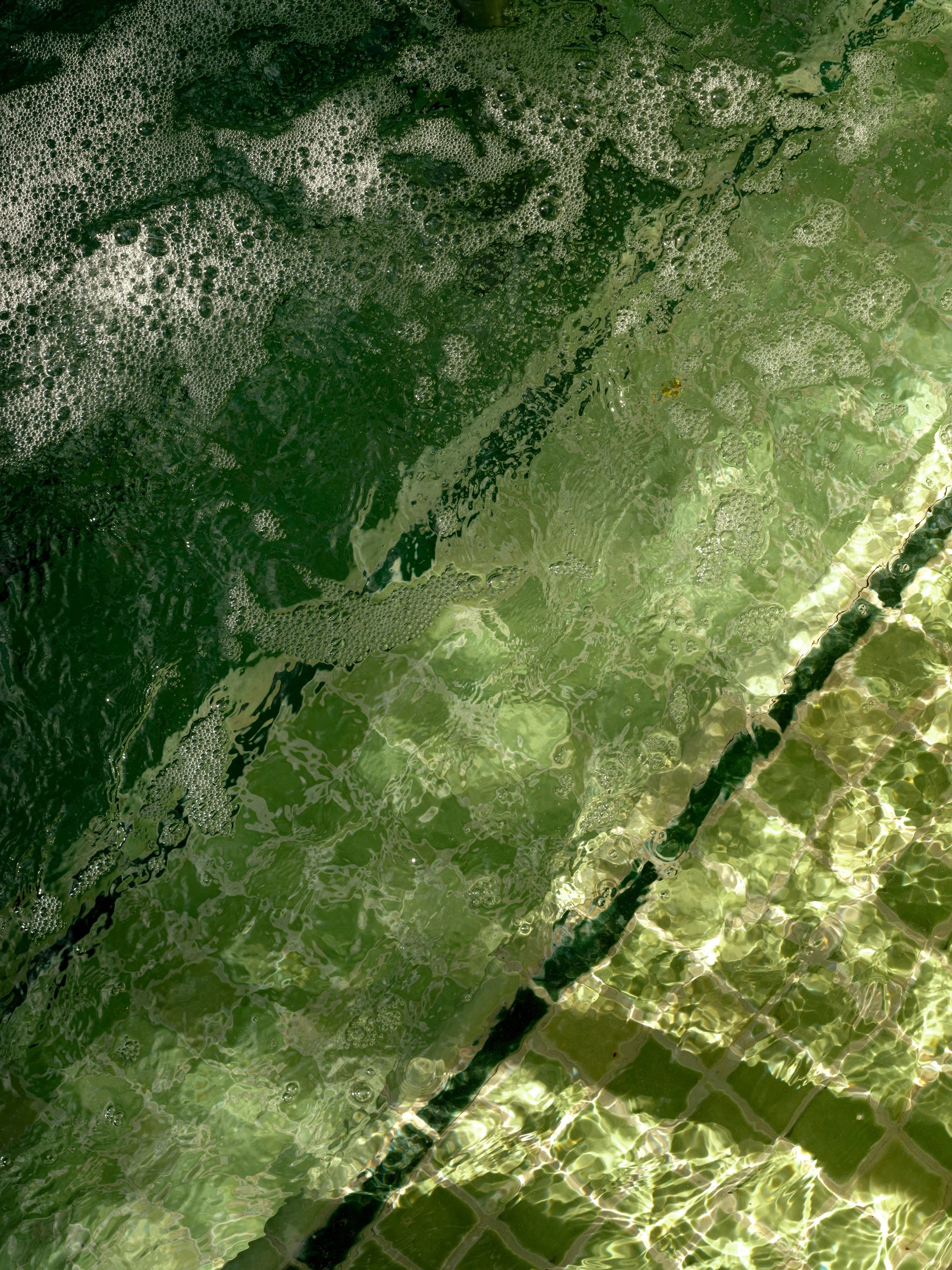 DSCF2705.JPG