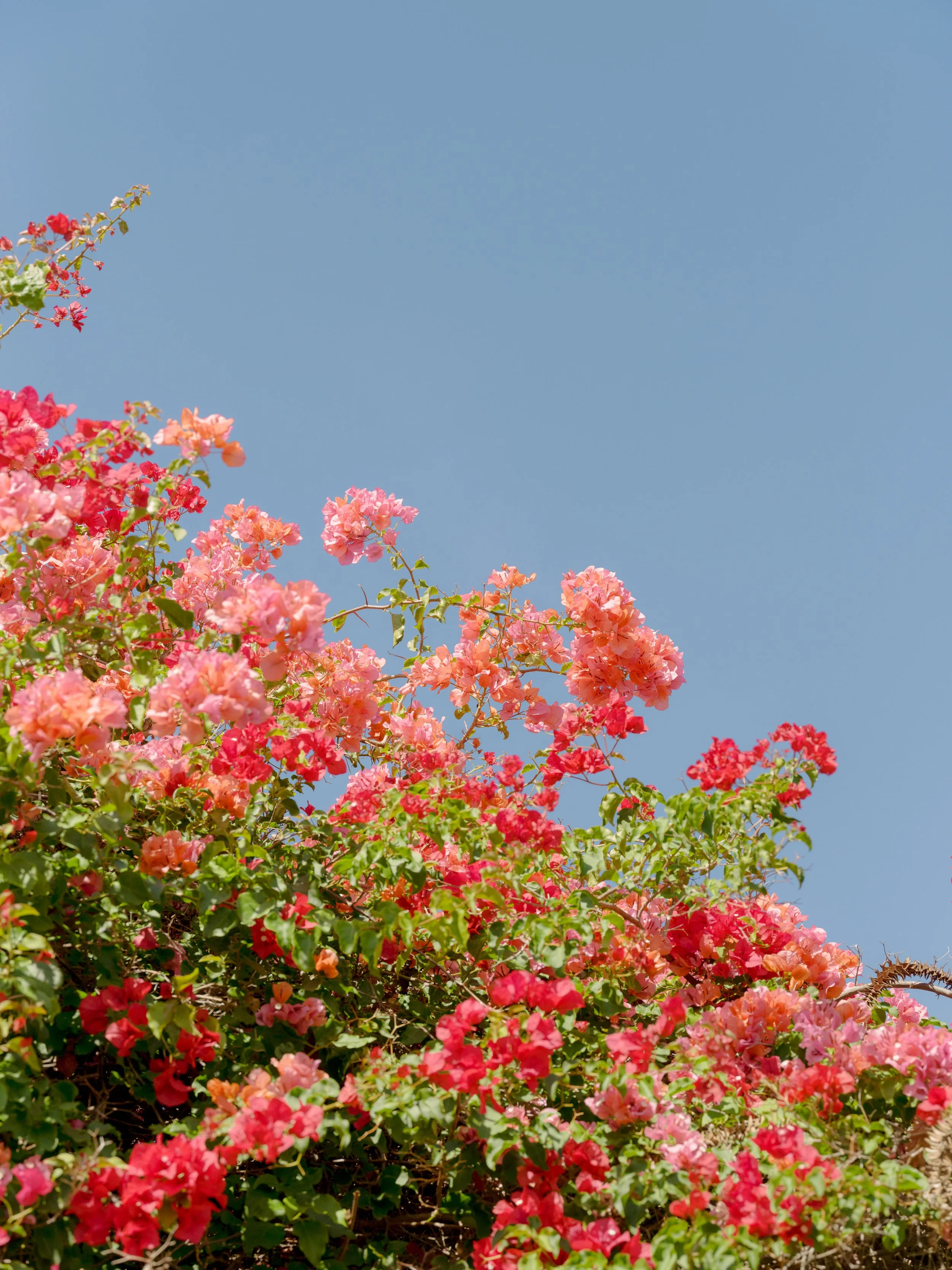DSCF3064.JPG