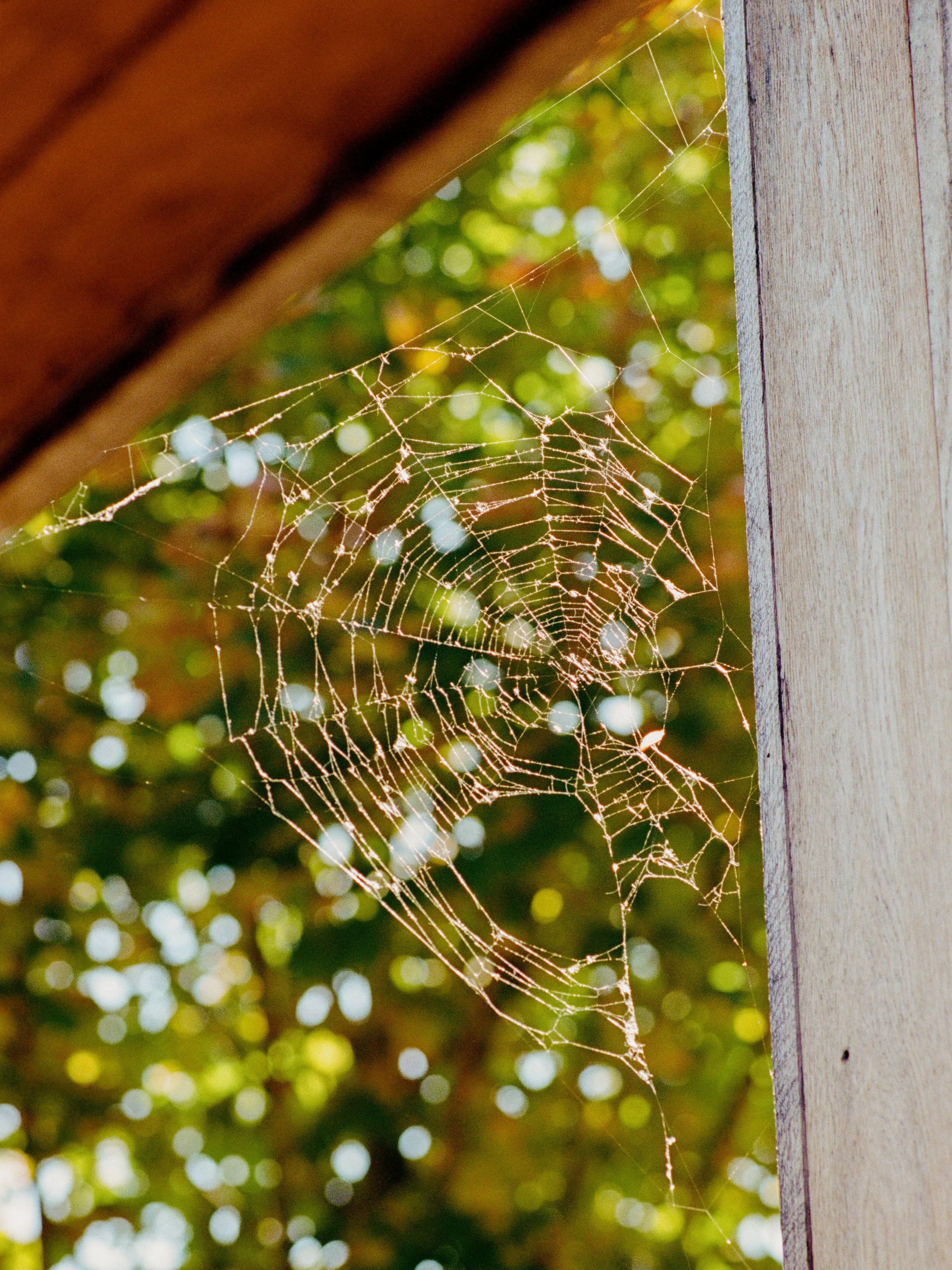web_261014301907090017.jpg