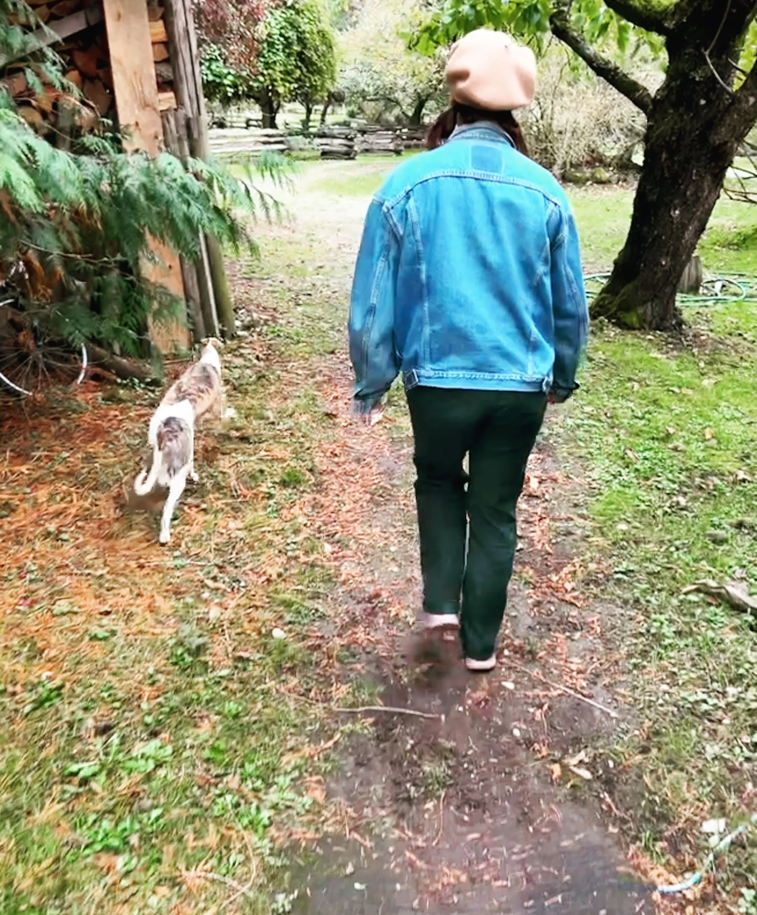 Person walking on a dirt path with a dog in a backyard with trees and greenery.