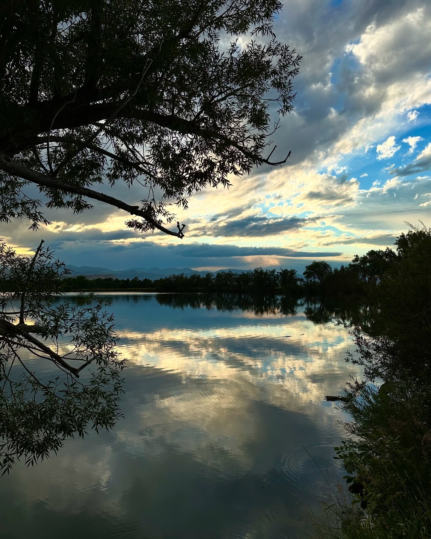 🌳 Escape to nature at Crown Hill Park, just minutes from our Airbnb! With serene walking trails, scenic lake views, and plenty of open space, it&rsquo;s the perfect spot for a morning jog, a peaceful picnic, or wildlife spotting. 🦆

📍 Stay with us