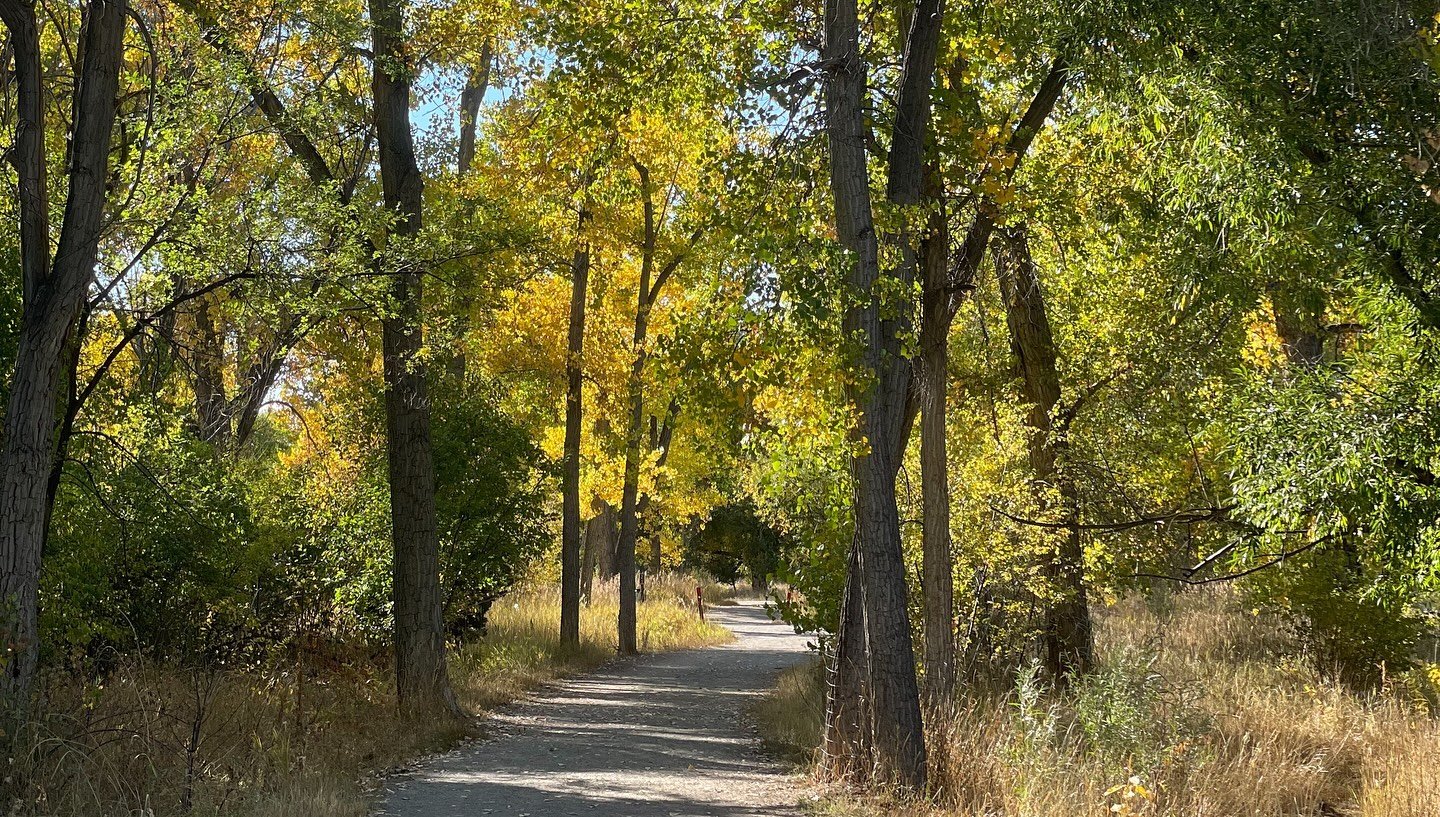 🍂 Clear Creek Trail, just a stone&rsquo;s throw from our Airbnb! Stroll among golden leaves, crisp air, and scenic creek views. Perfect for hiking, biking, or a peaceful moment in nature no matter the season. ❄️

📍 Stay with us and have adventure a
