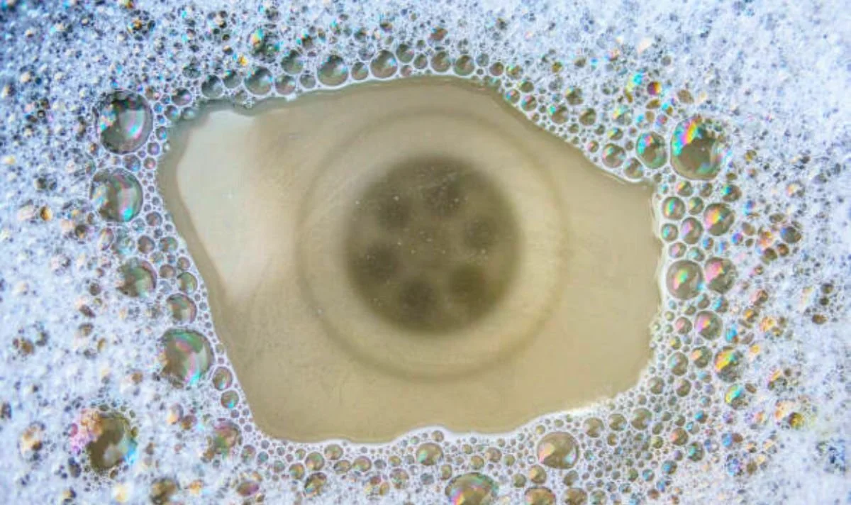 clogged kitchen sink.jpg