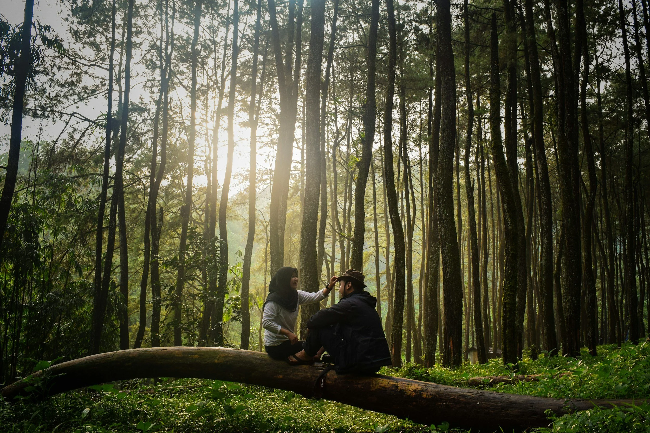 Couple sitting together in a forest