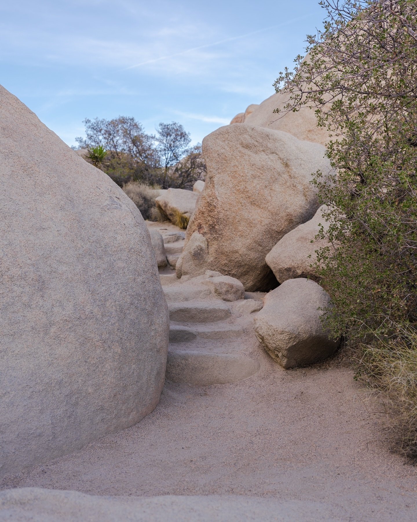 My kind of holiday: slow living and day dreaming in the desert 💫🌵

#joshuatree #joshuatreenationalpark #nationalparks #southerncalifornia #travelphotography #naturegram #landscapelovers #desertvibes #slowliving